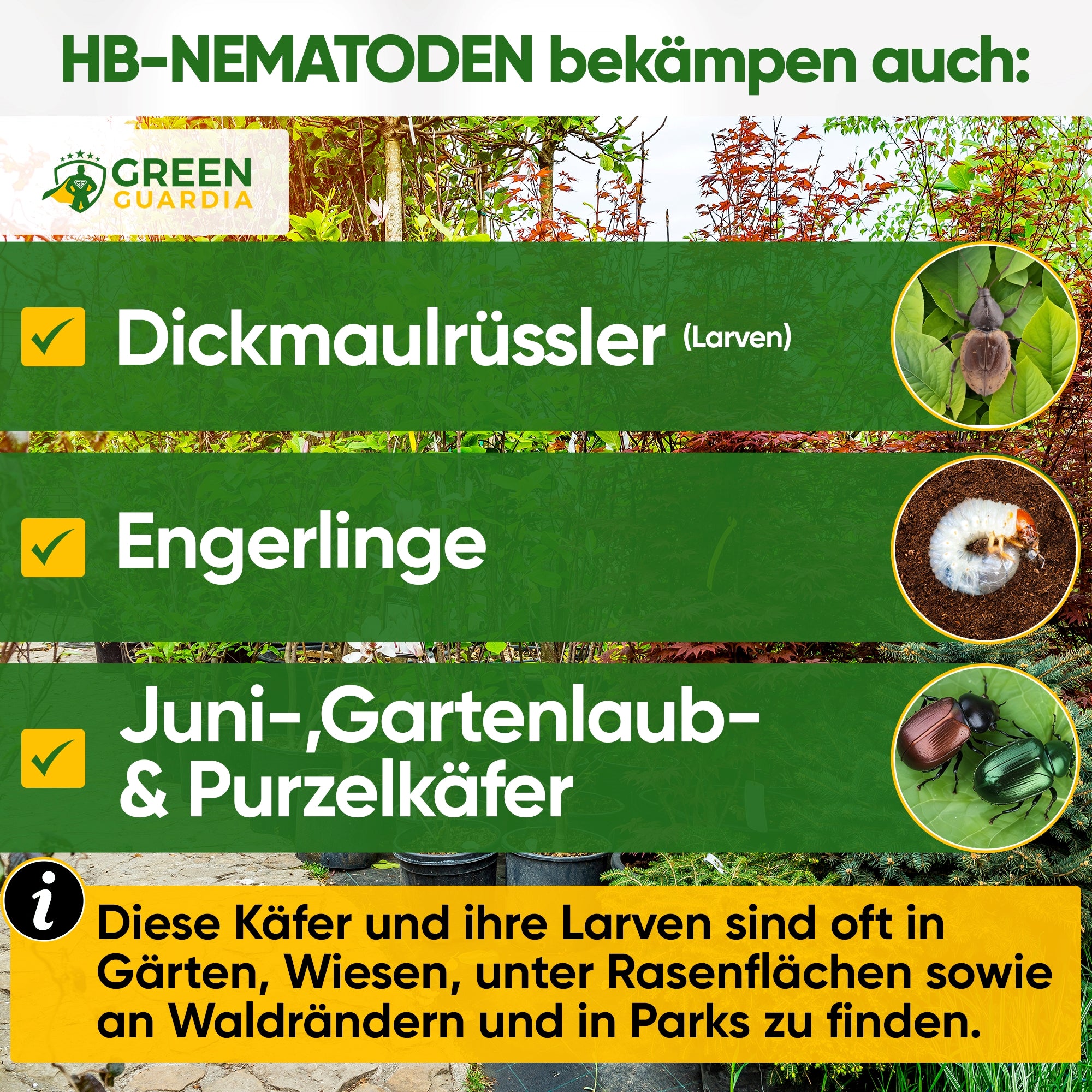 HB nematodes against black vine weevils and grubs