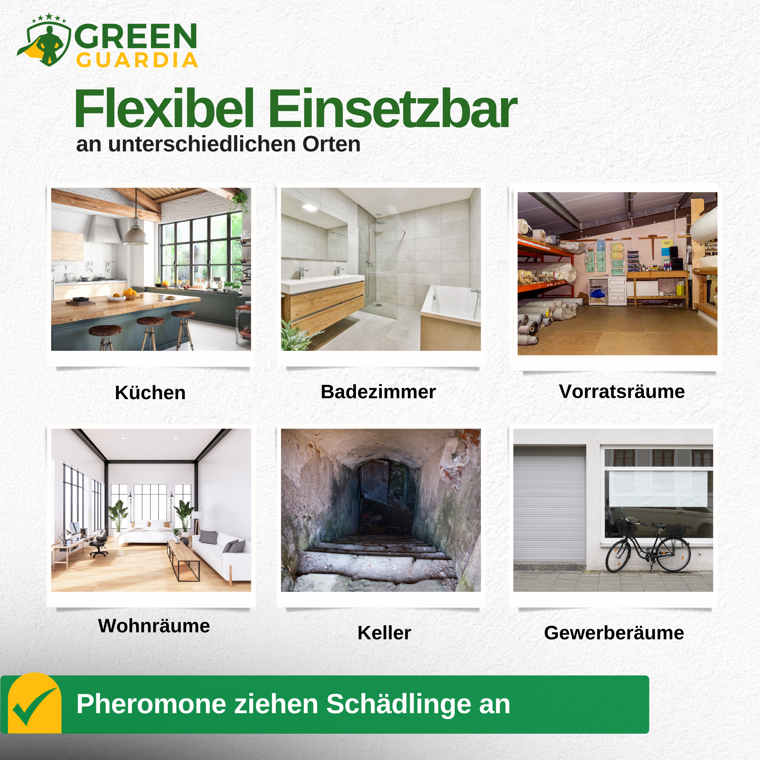 Kakerlaken / Schaben Falle mit Pheromon-Lockstoff