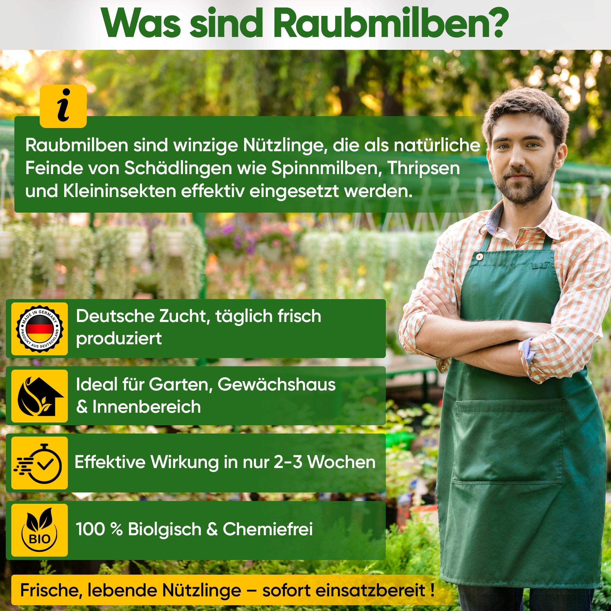 Raubmilben Mix gegen Trauermücken & Rote Vogelmilben – Streuware