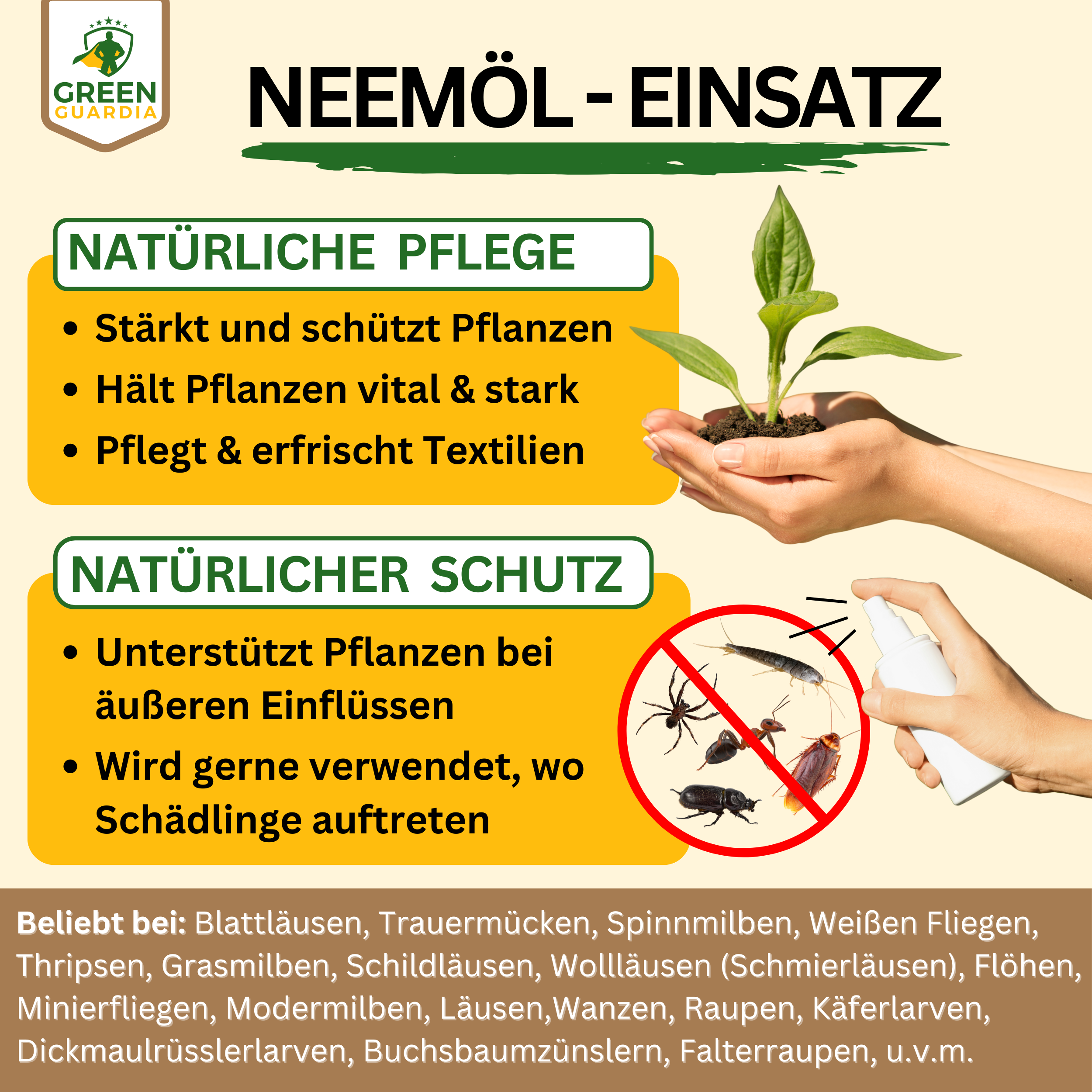 Power Neemöl gegen Buchsbaumzünsler