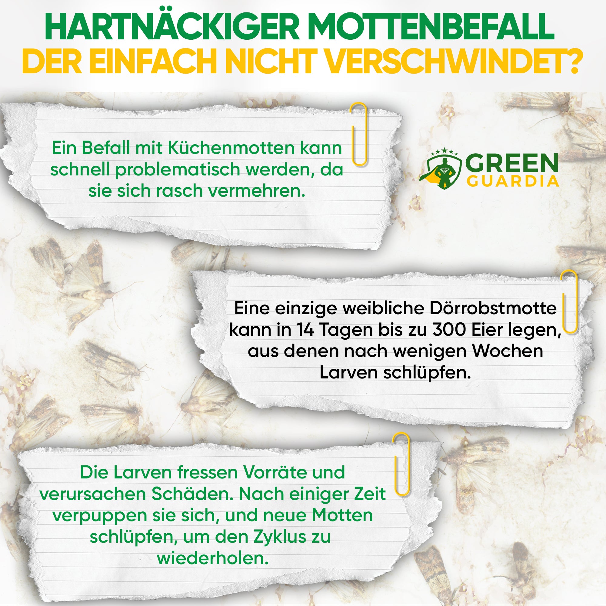 Lebensmittelmotten-Falle (10 Stück Vorteilspack)