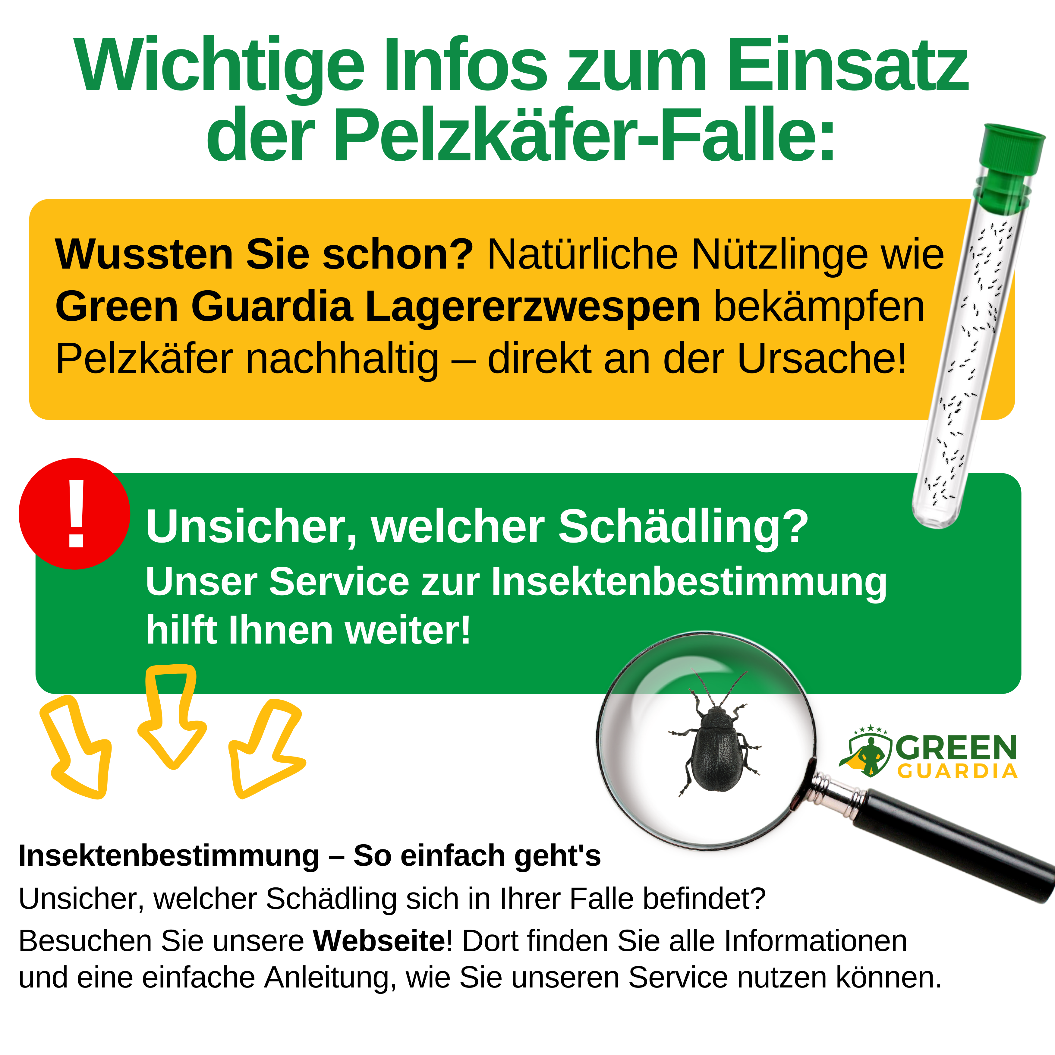 Pelzkäfer Falle mit Spezial-Lockstoff