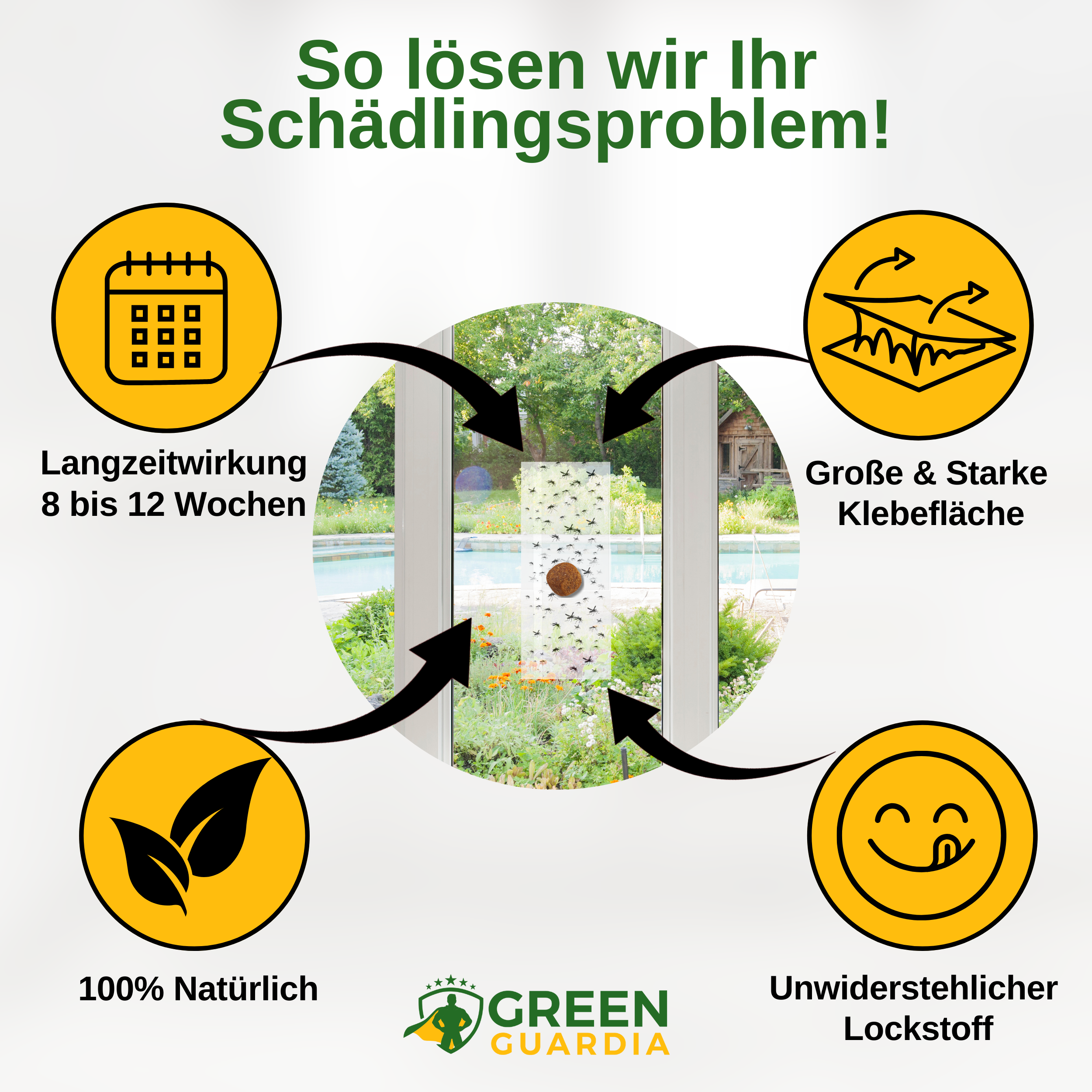 Fliegen Fenster-Falle mit Spezial-Lockstoff