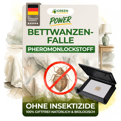 Bettwanzen Falle