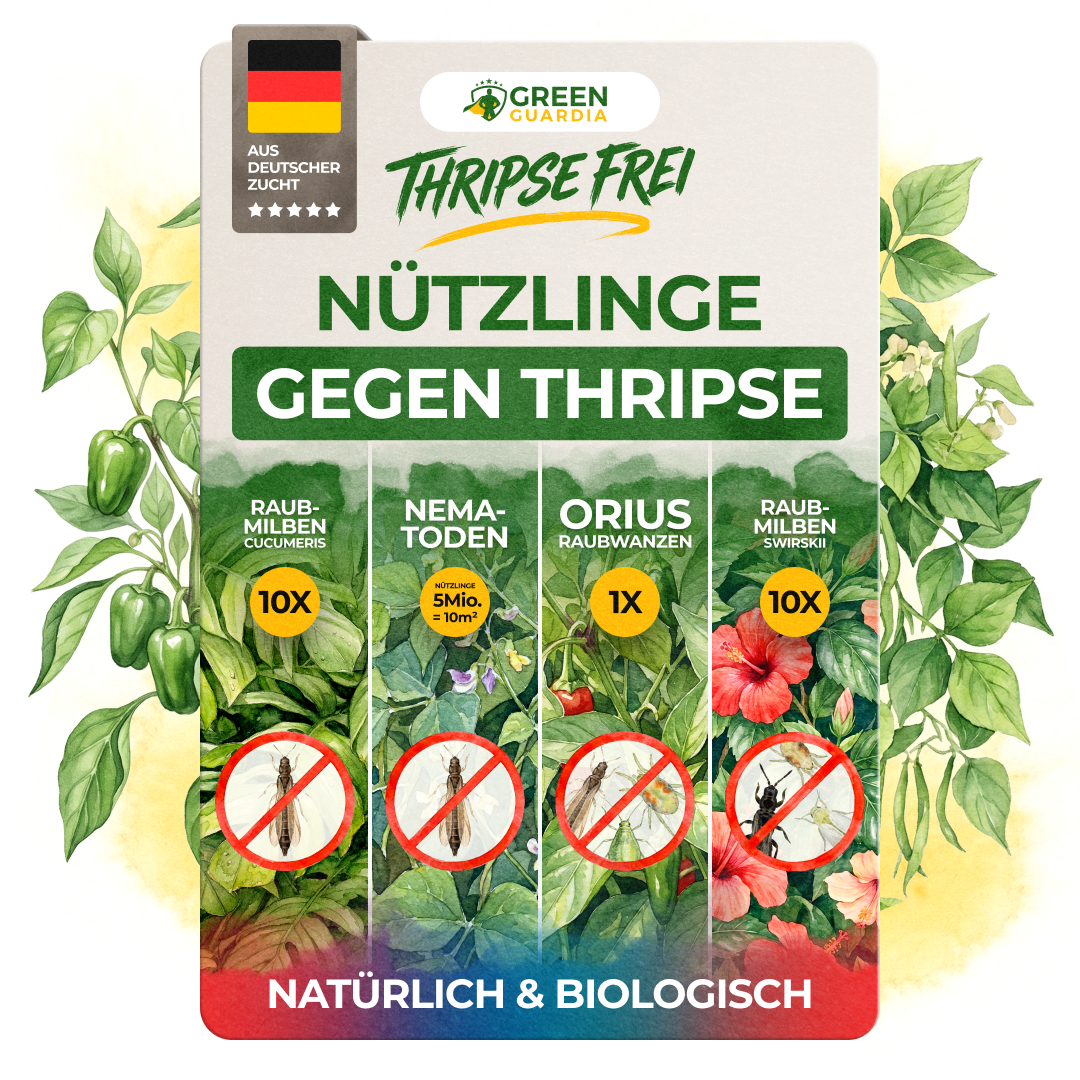 Thripse-Frei Bundle zur Soforthilfe