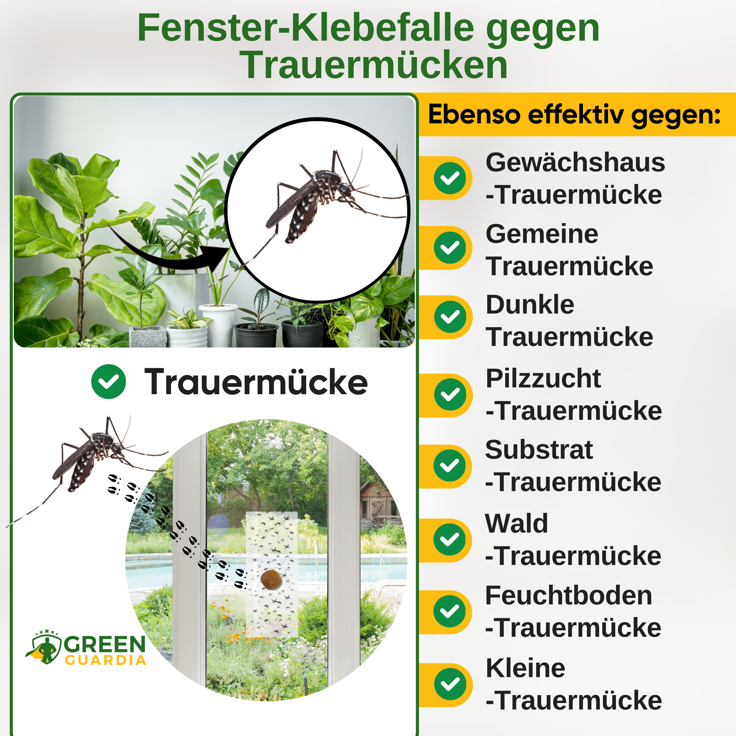 Trauermücken Fenster - Falle mit Spezial - Lockstoff - Green Guardia - Ihr Experte für Schädlinge und Pflanzen