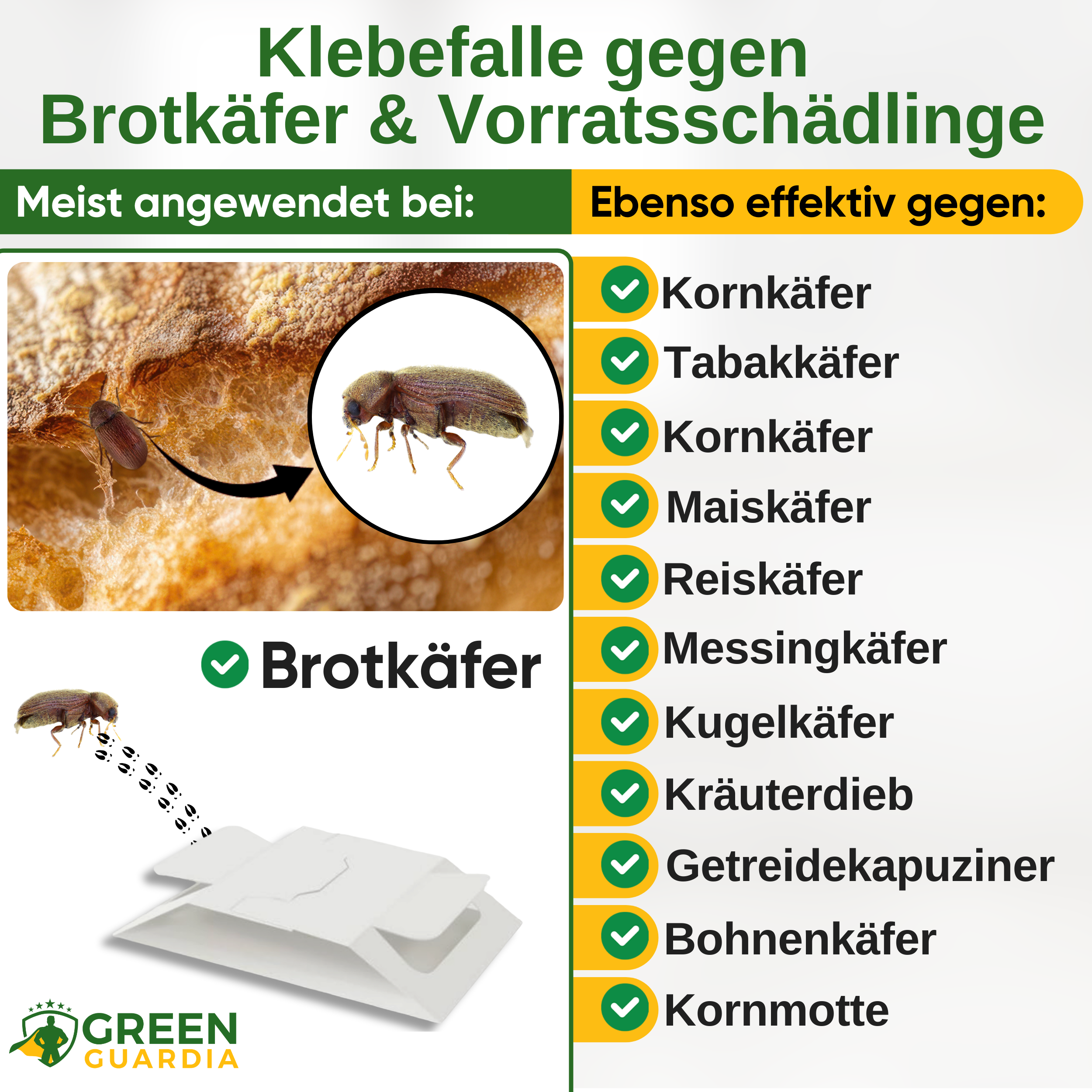 Bread beetle trap with special attractant 
