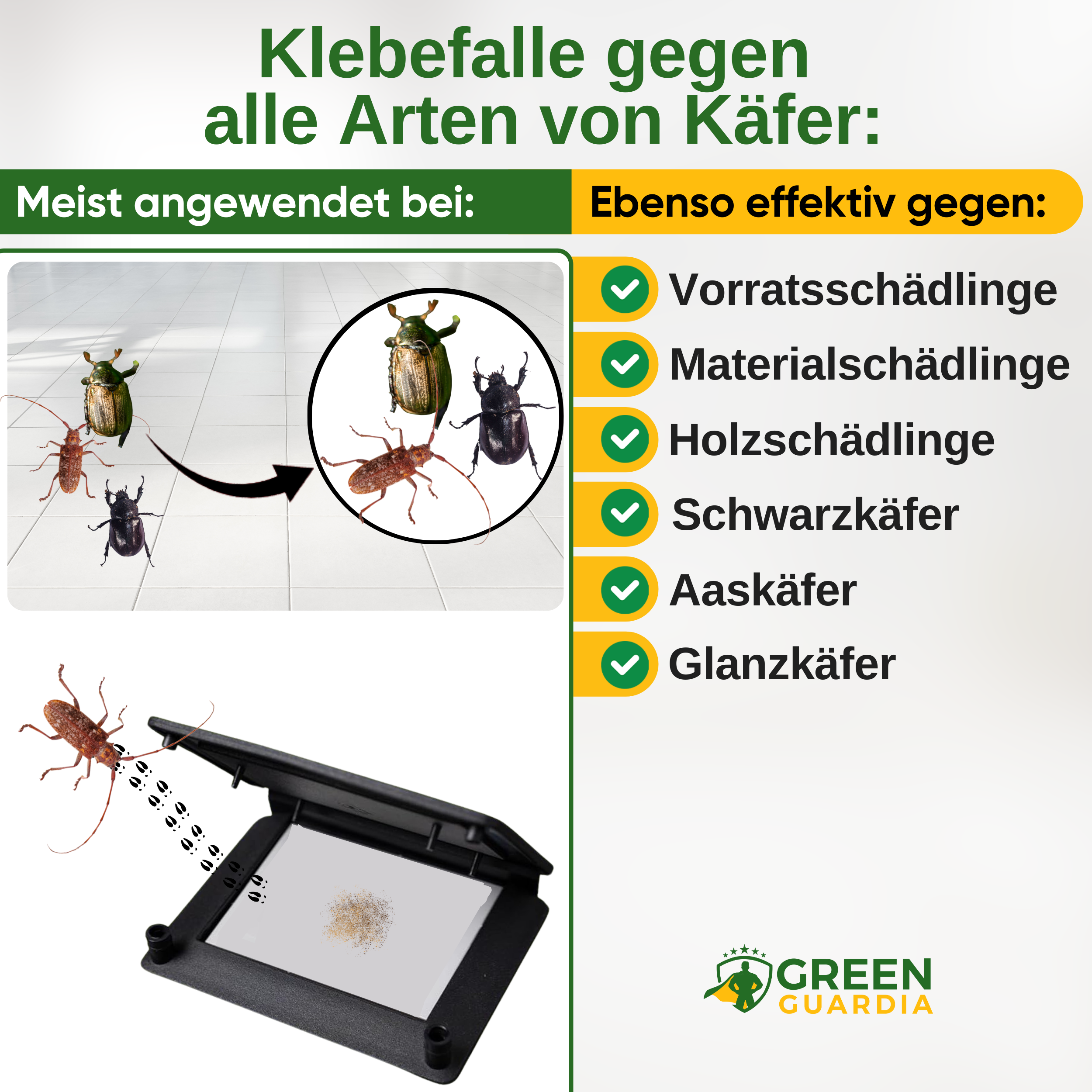 Beetle trap with pheromone attractant 