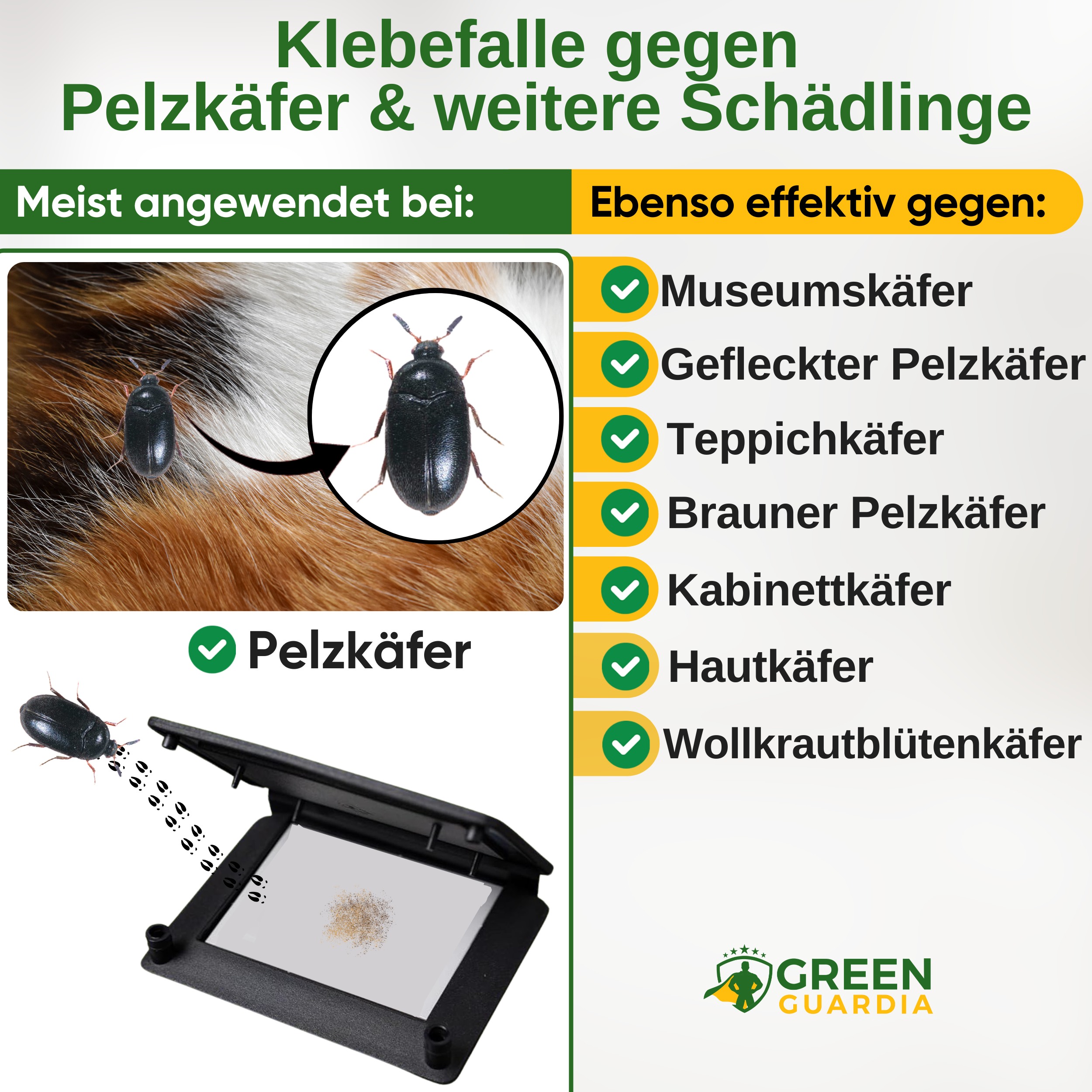 Fur beetle trap with pheromone attractant 