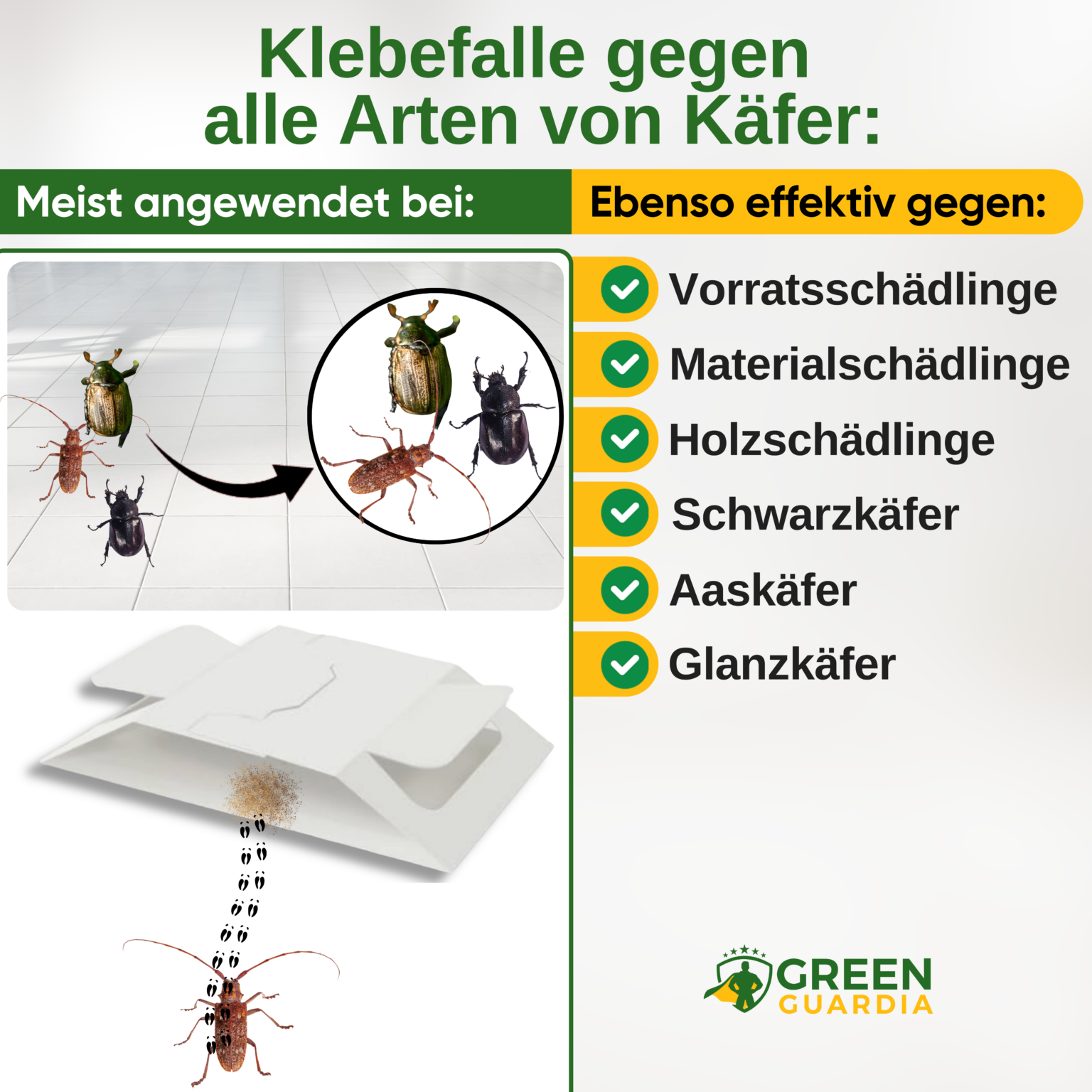 Beetle trap with special attractant 