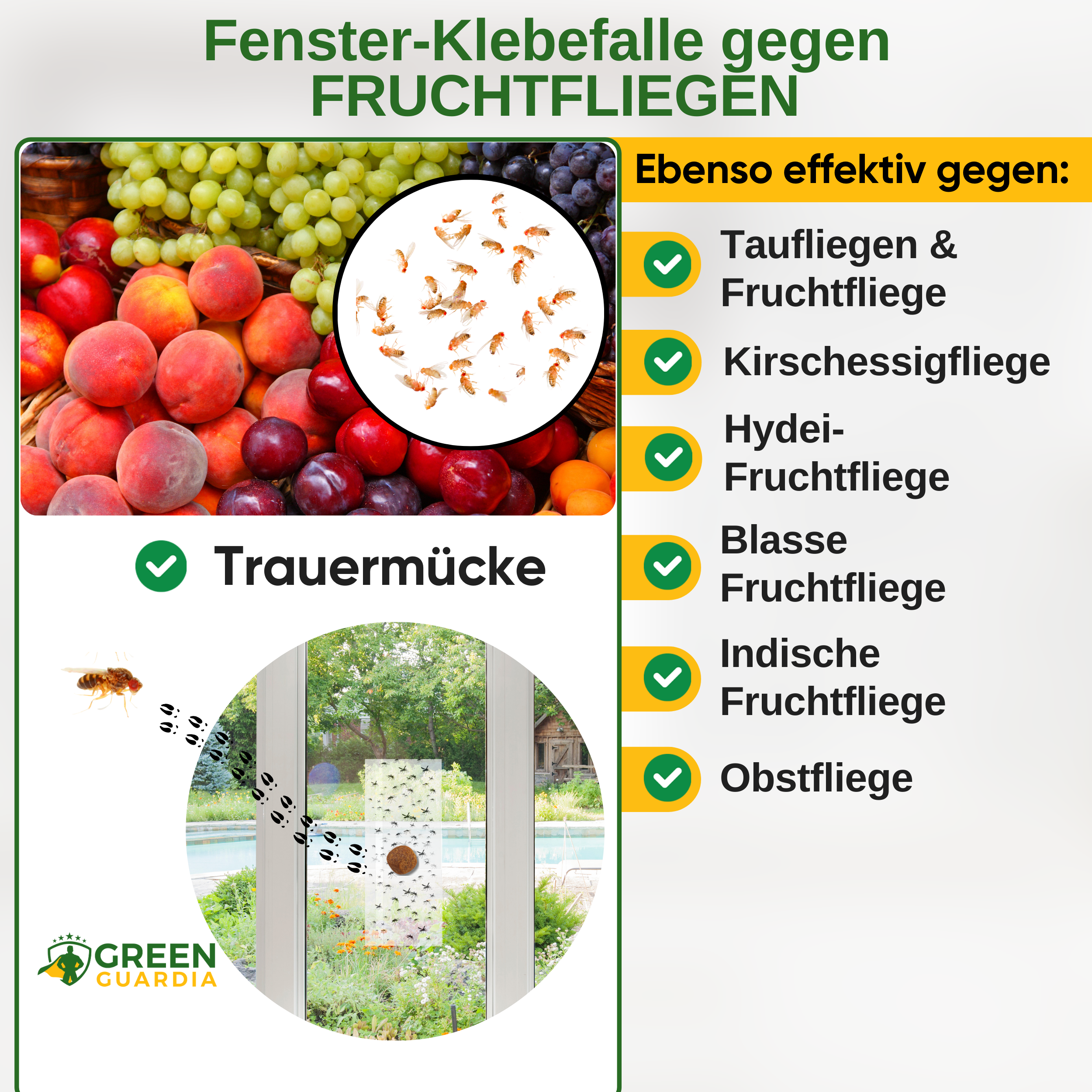 Fruit fly window trap with special attractant 