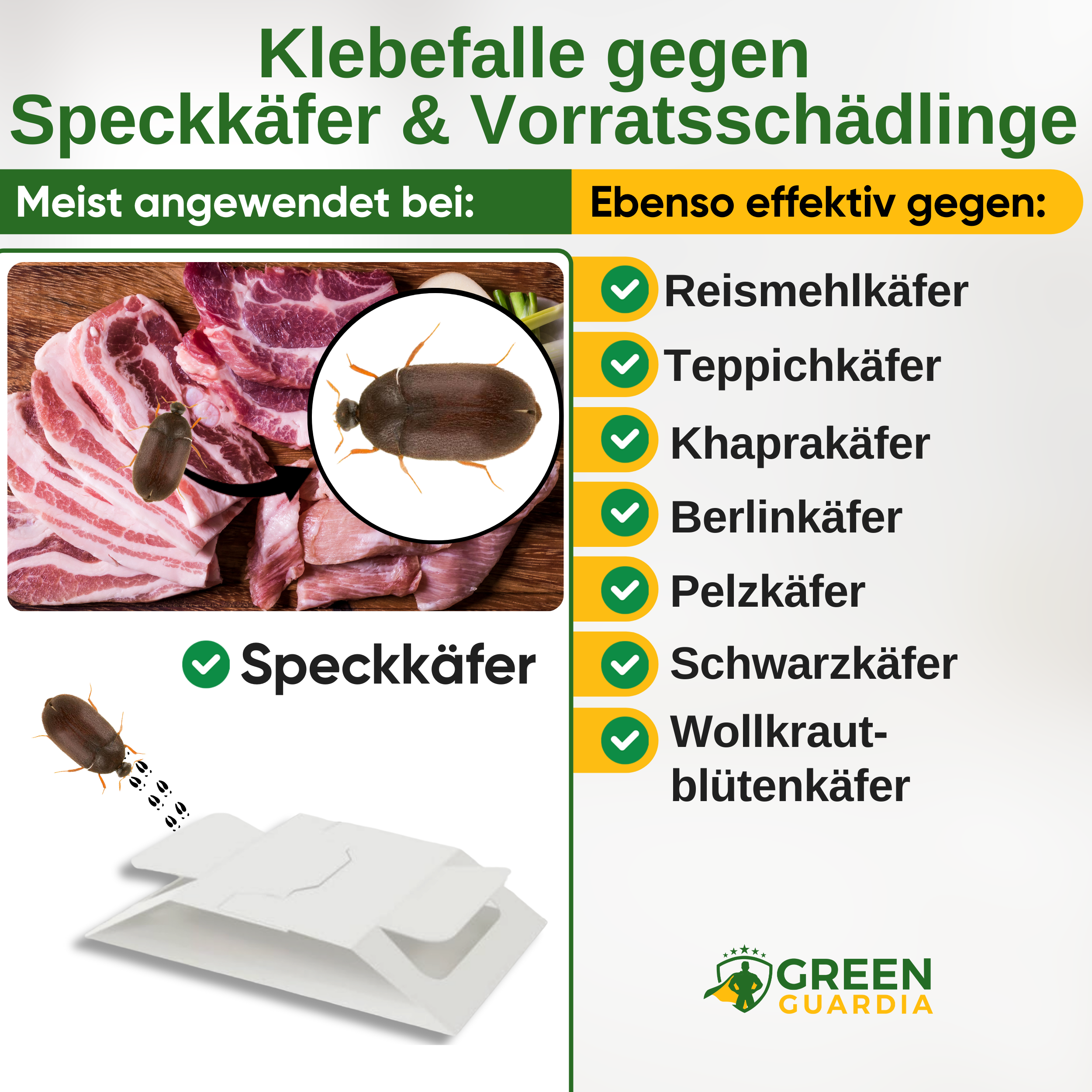 Larder beetle trap with special attractant 