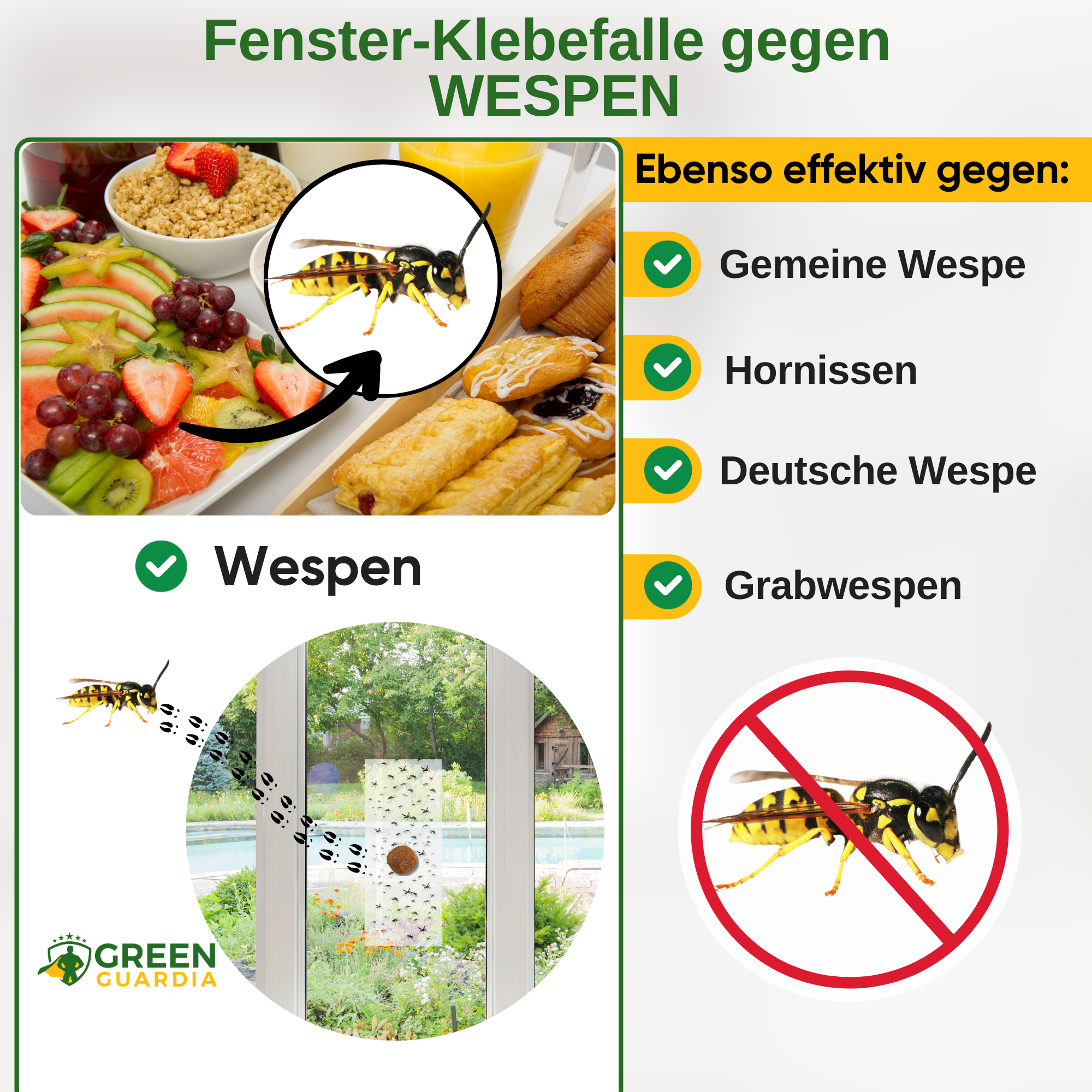 Wasp window trap with special attractant 