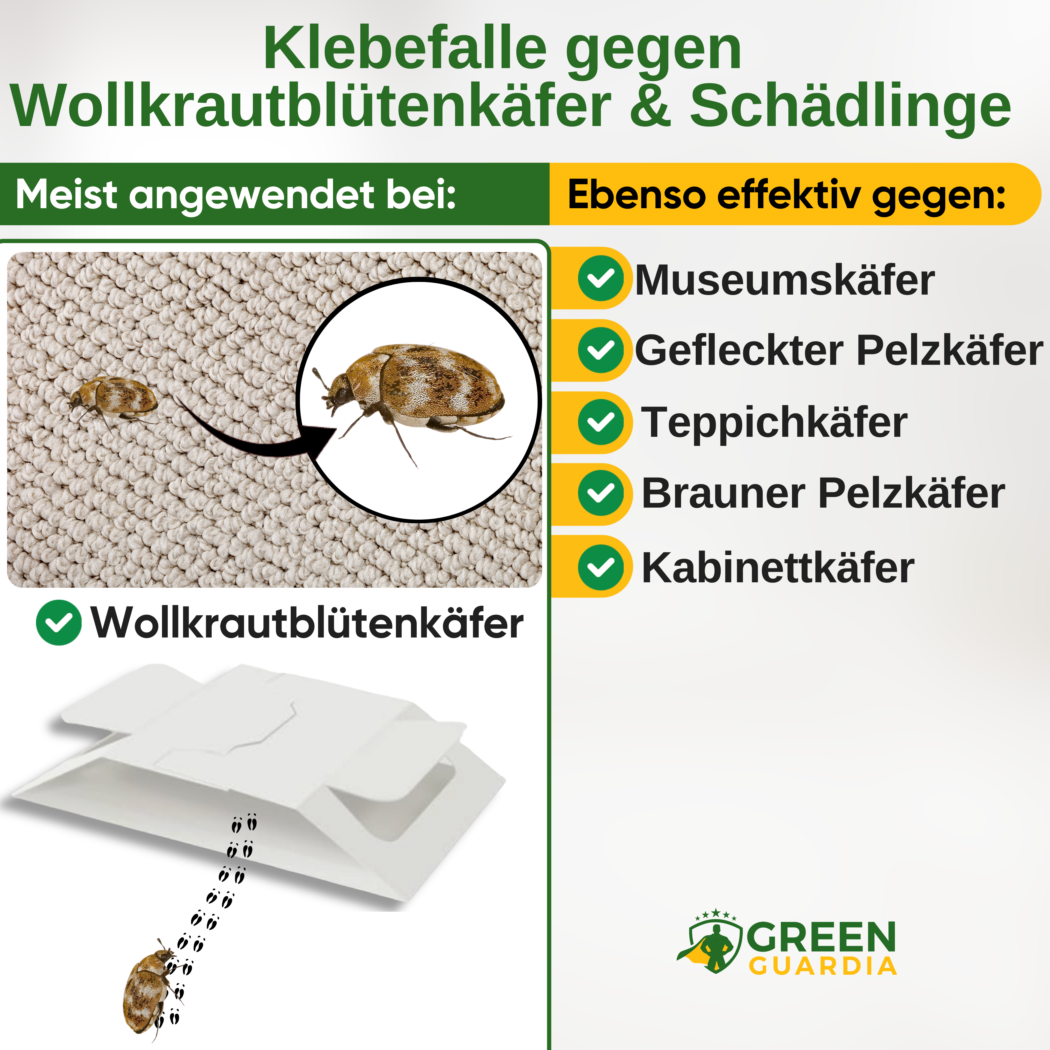 Woolly aphid beetle trap with special attractant 