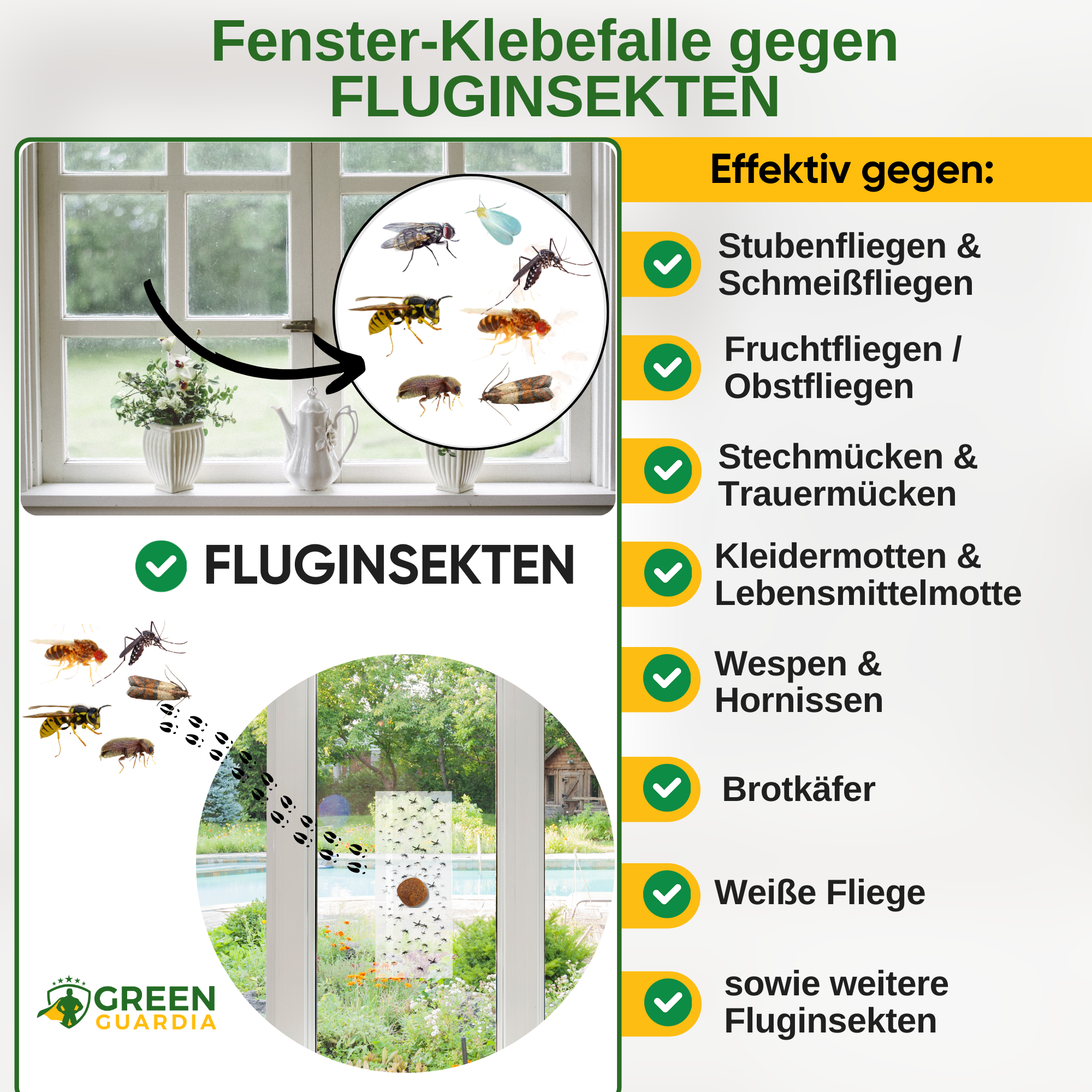 Flying insect window trap with special attractant 