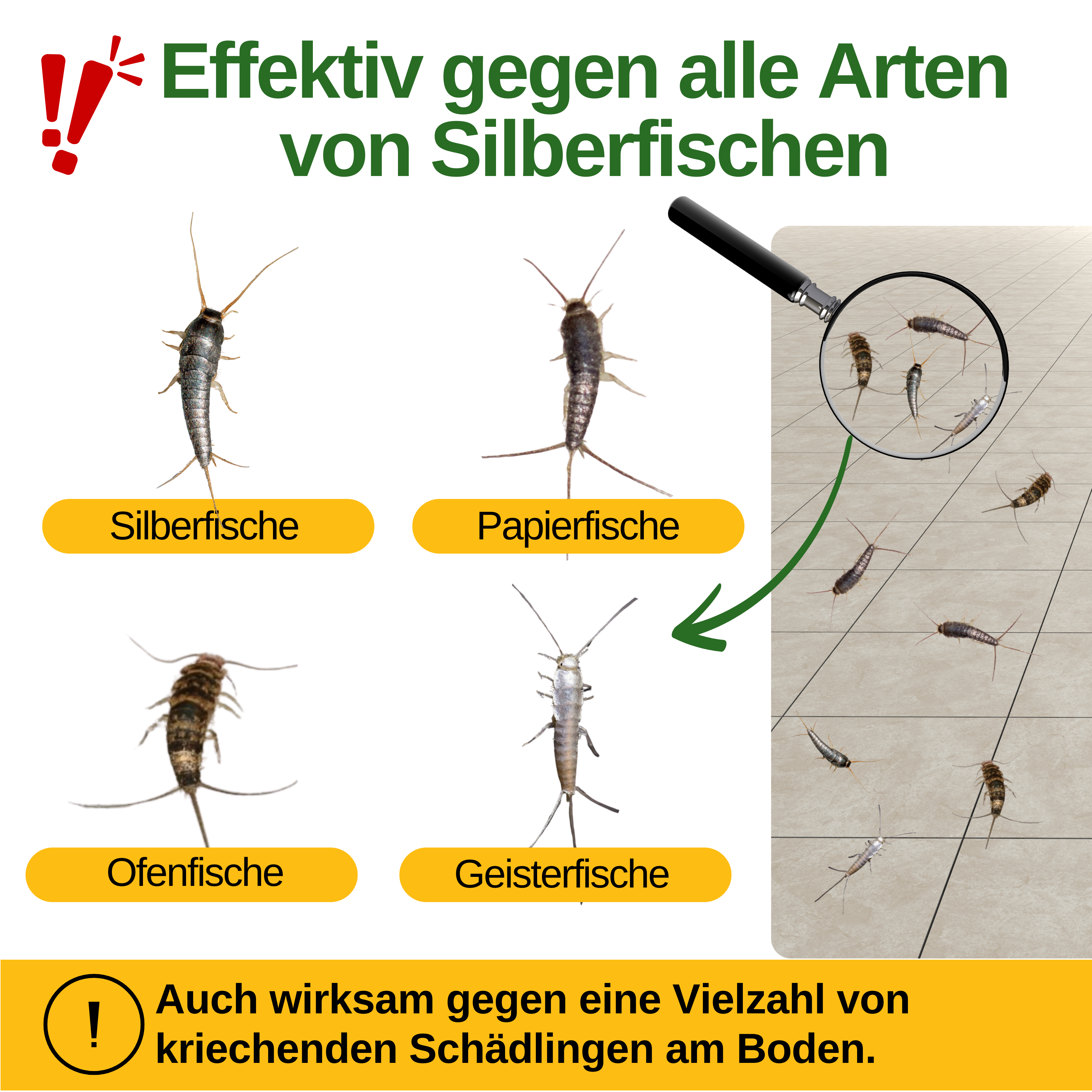 Silverfish trap with special attractant 