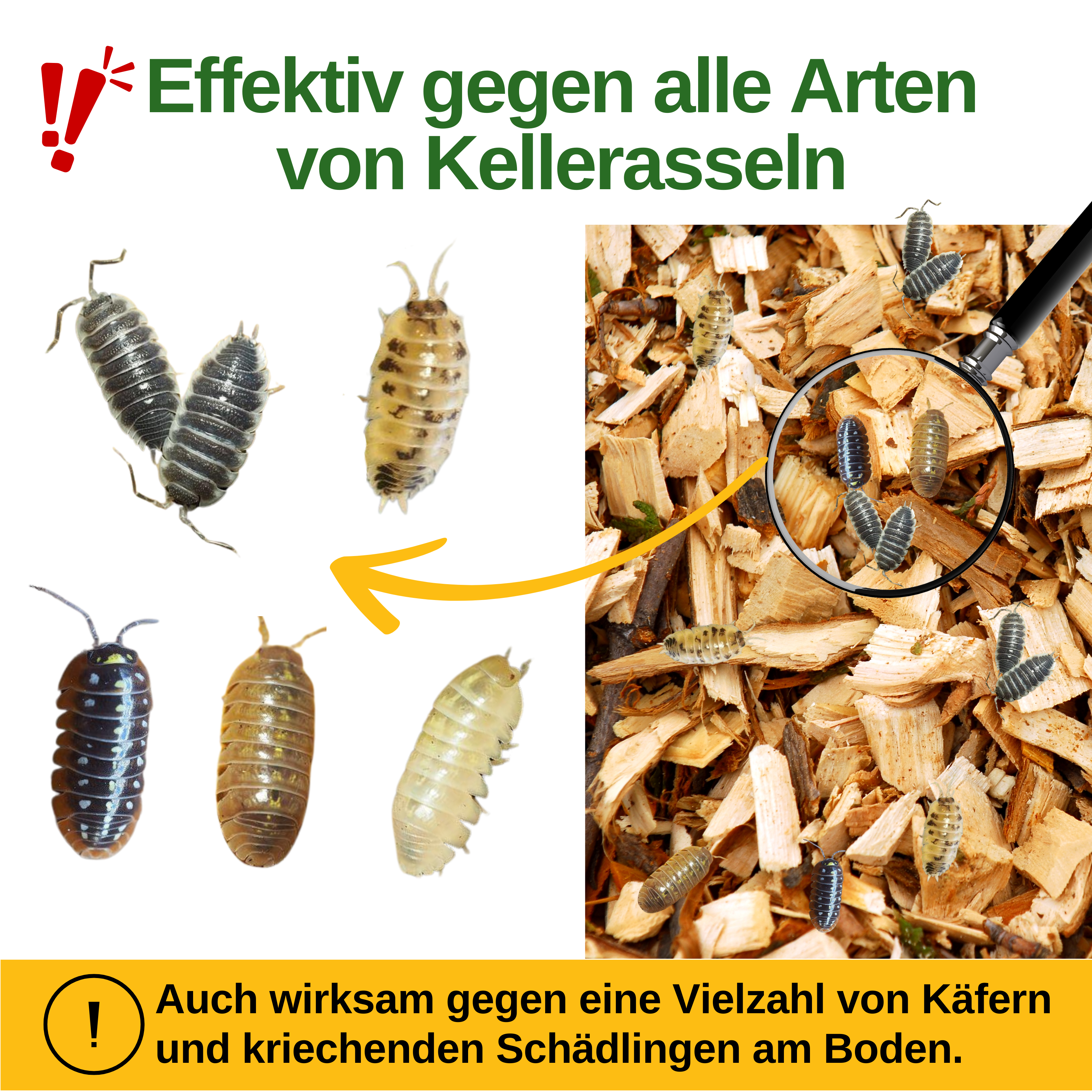 Woodlice trap with special attractant 