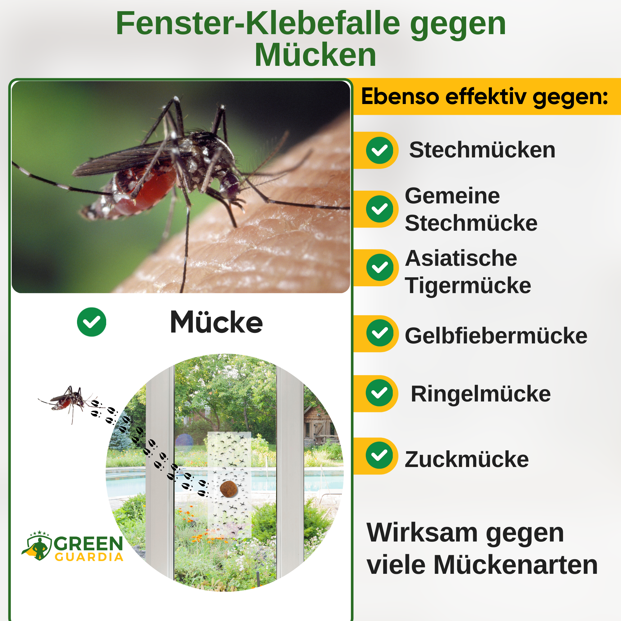 Mosquito window trap with special attractant 