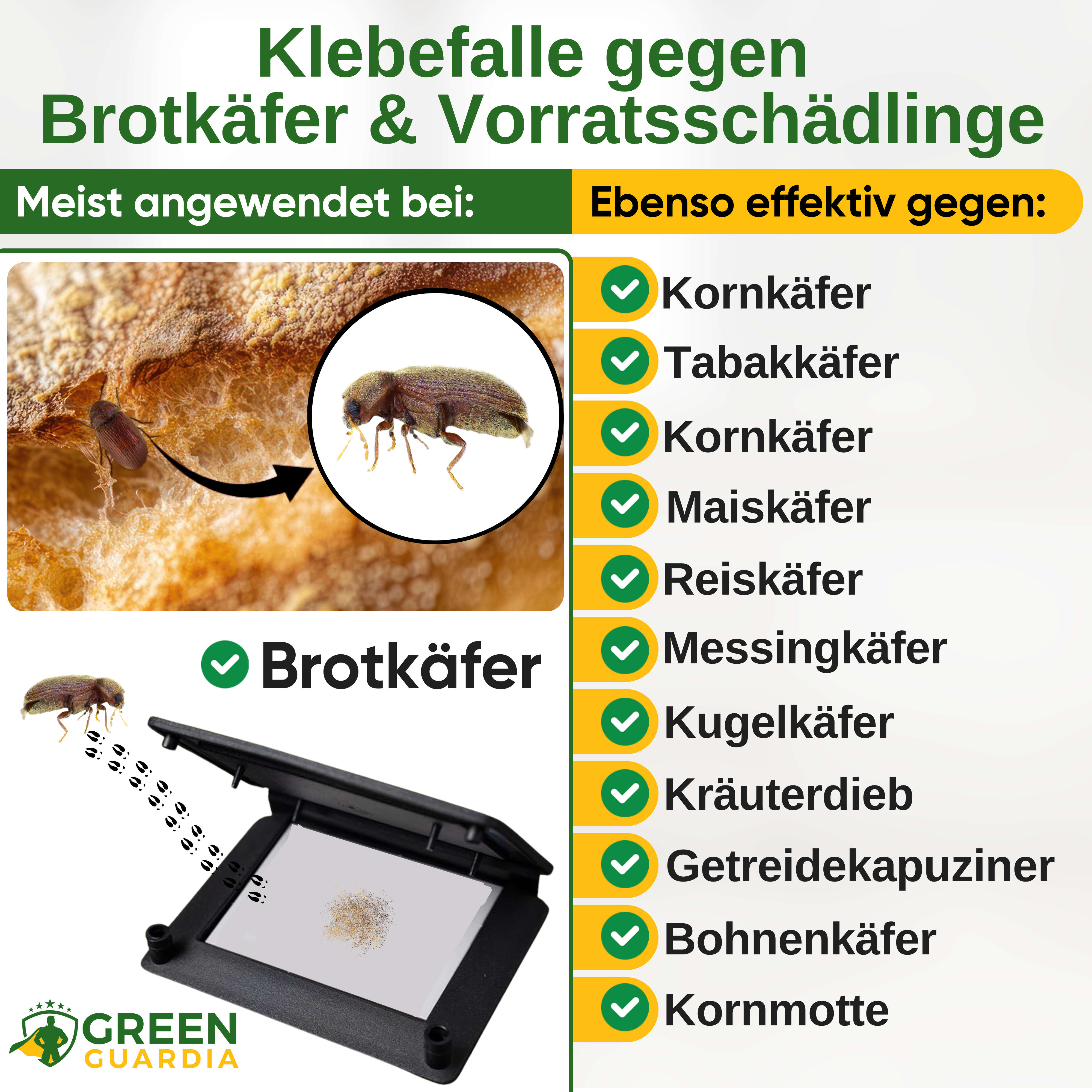Bread beetle trap with pheromone attractant 