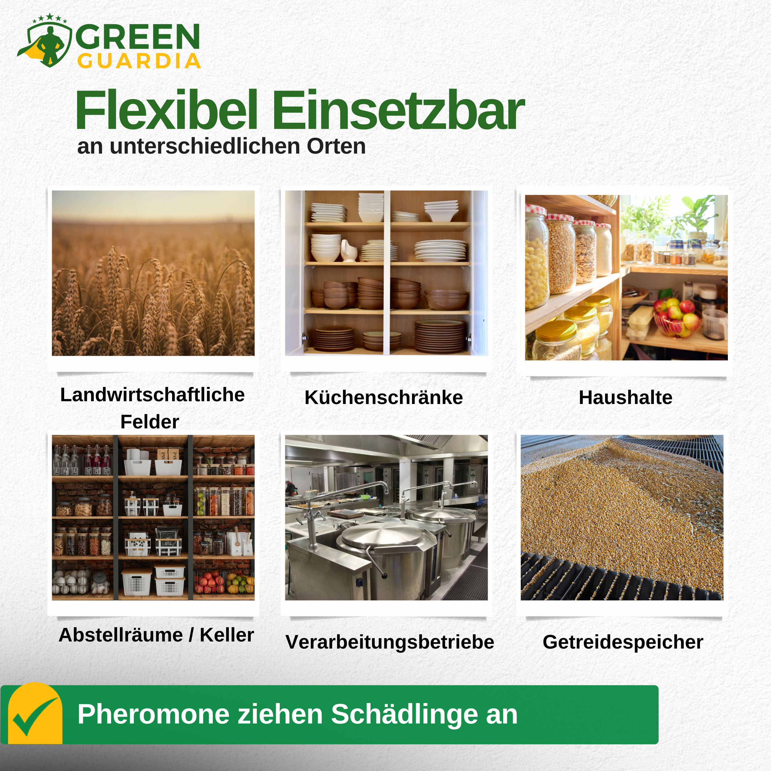 Pheromon-Lockstoff Ersatzfolien für Klebefallen (3x Stück)