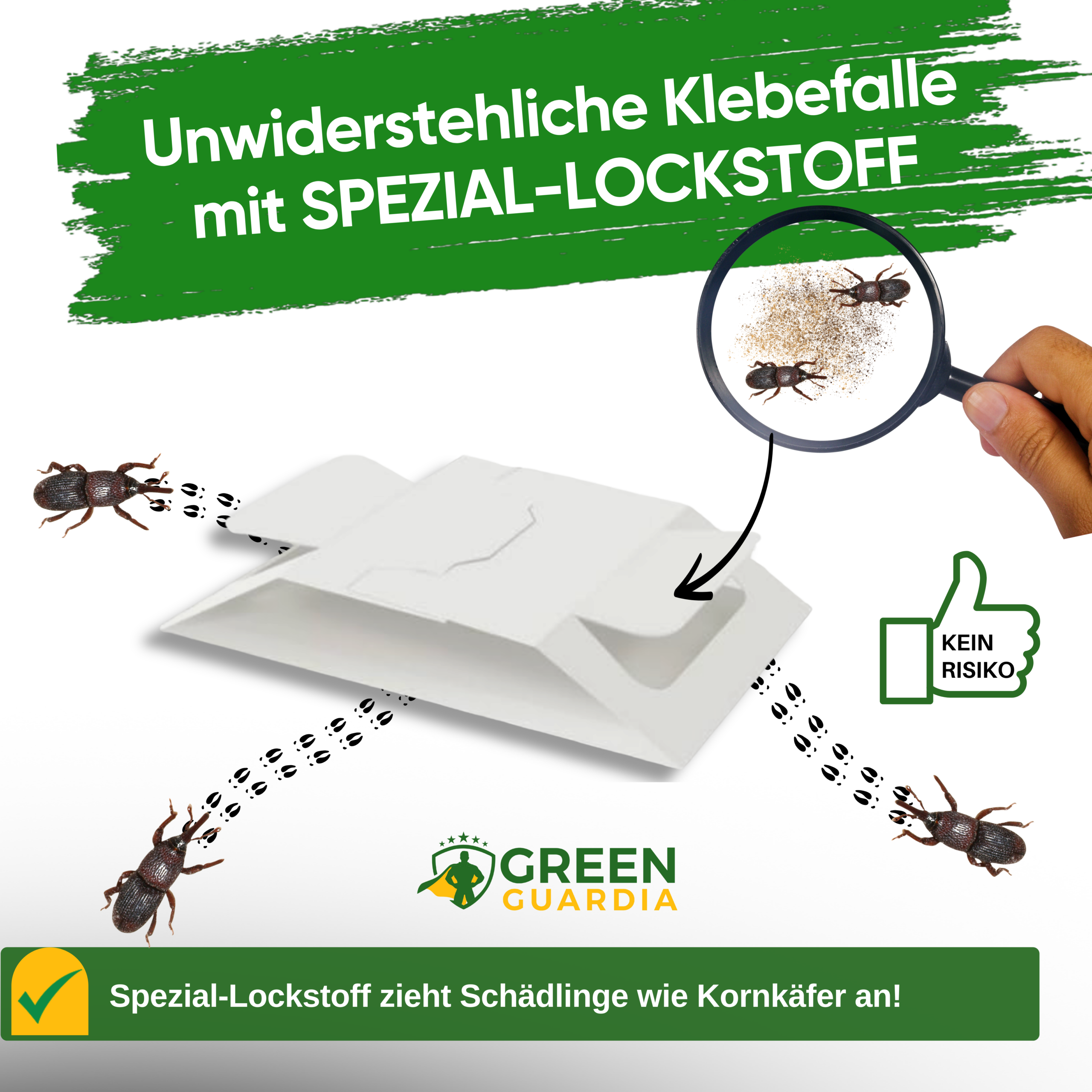 Grain beetle trap with special attractant 
