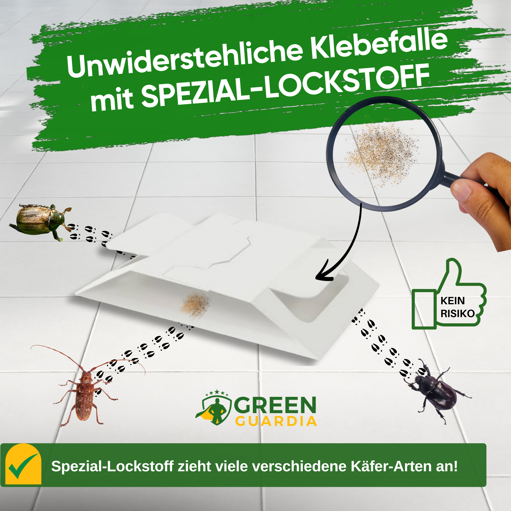 Beetle trap with special attractant 