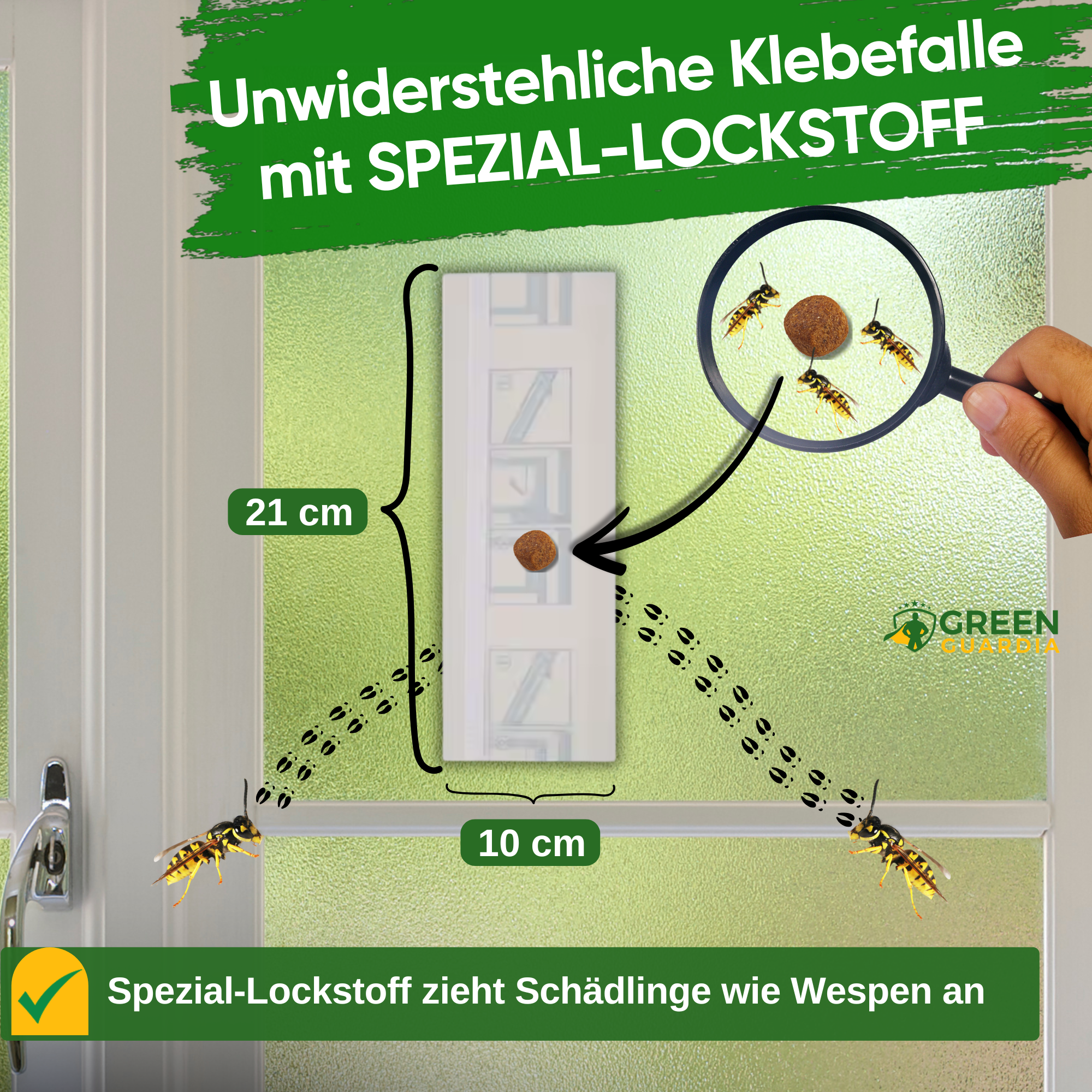 Wasp window trap with special attractant 