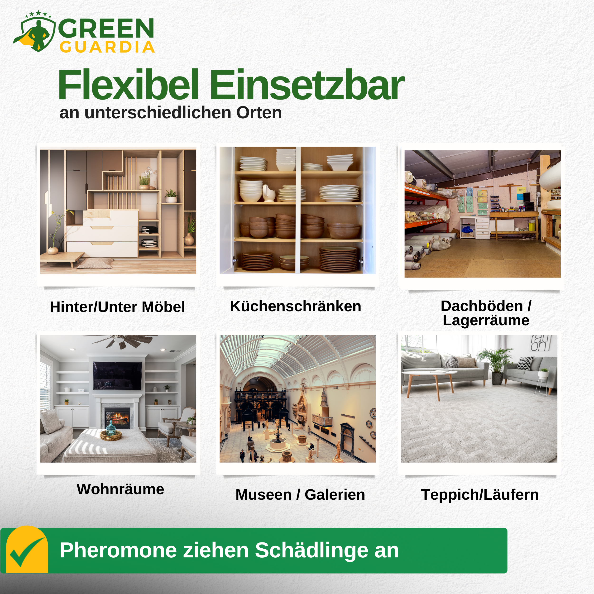 Teppichkäfer Falle mit Pheromon-Lockstoff