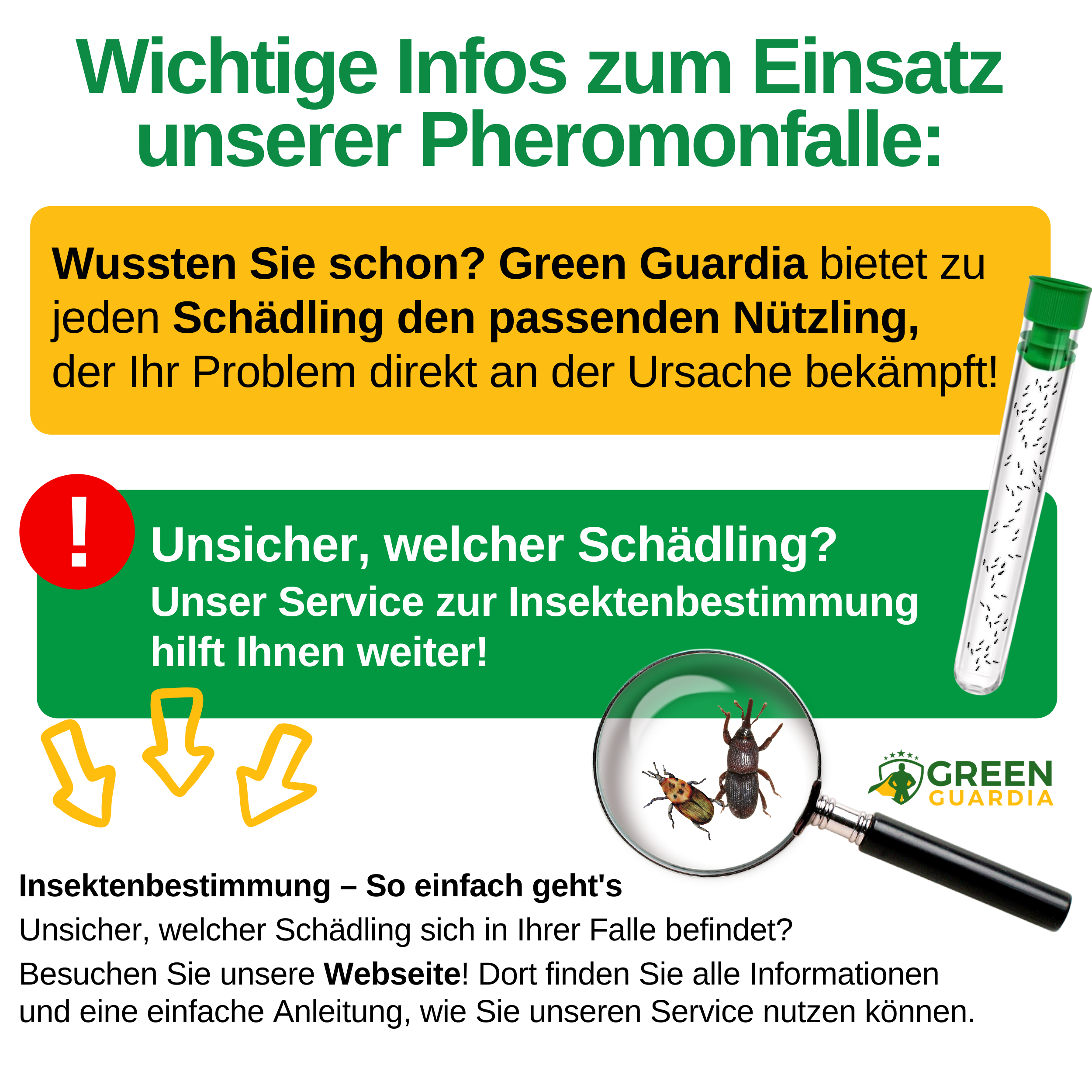 Pheromon-Lockstoff Ersatzfolien für Klebefallen (3x Stück)