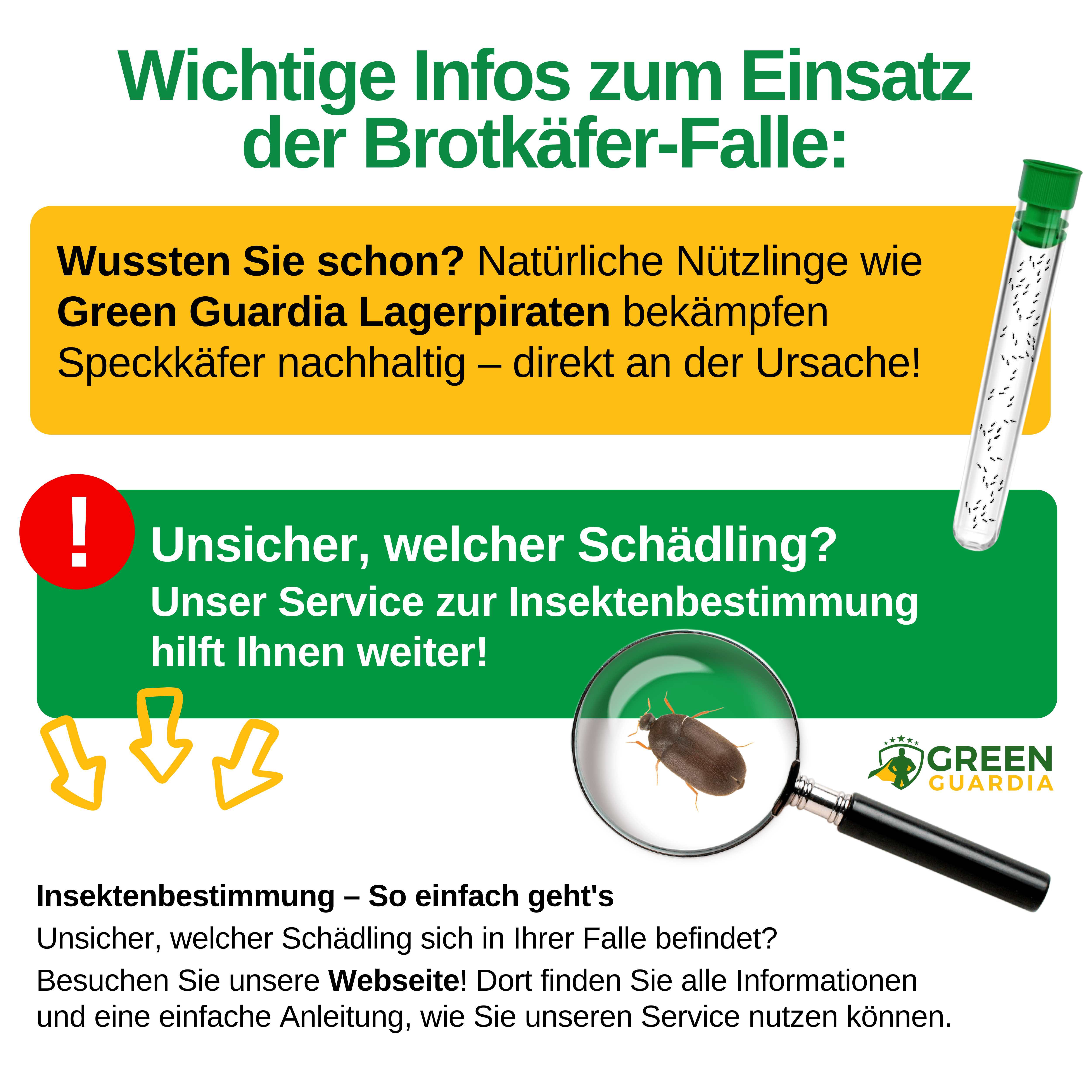 Speckkäfer Falle mit Pheromon-Lockstoff