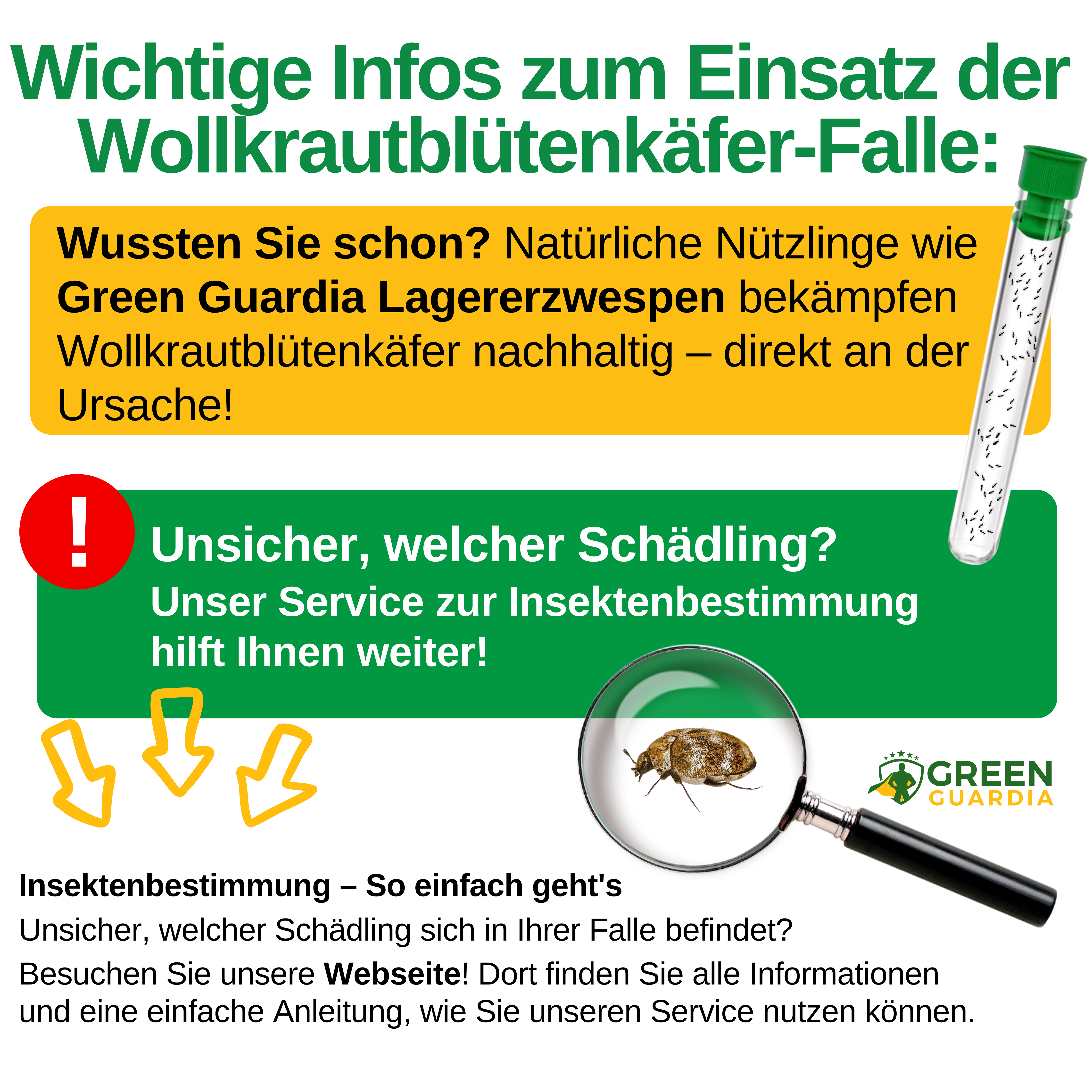 Wollkrautblütenkäfer Falle mit Spezial-Lockstoff