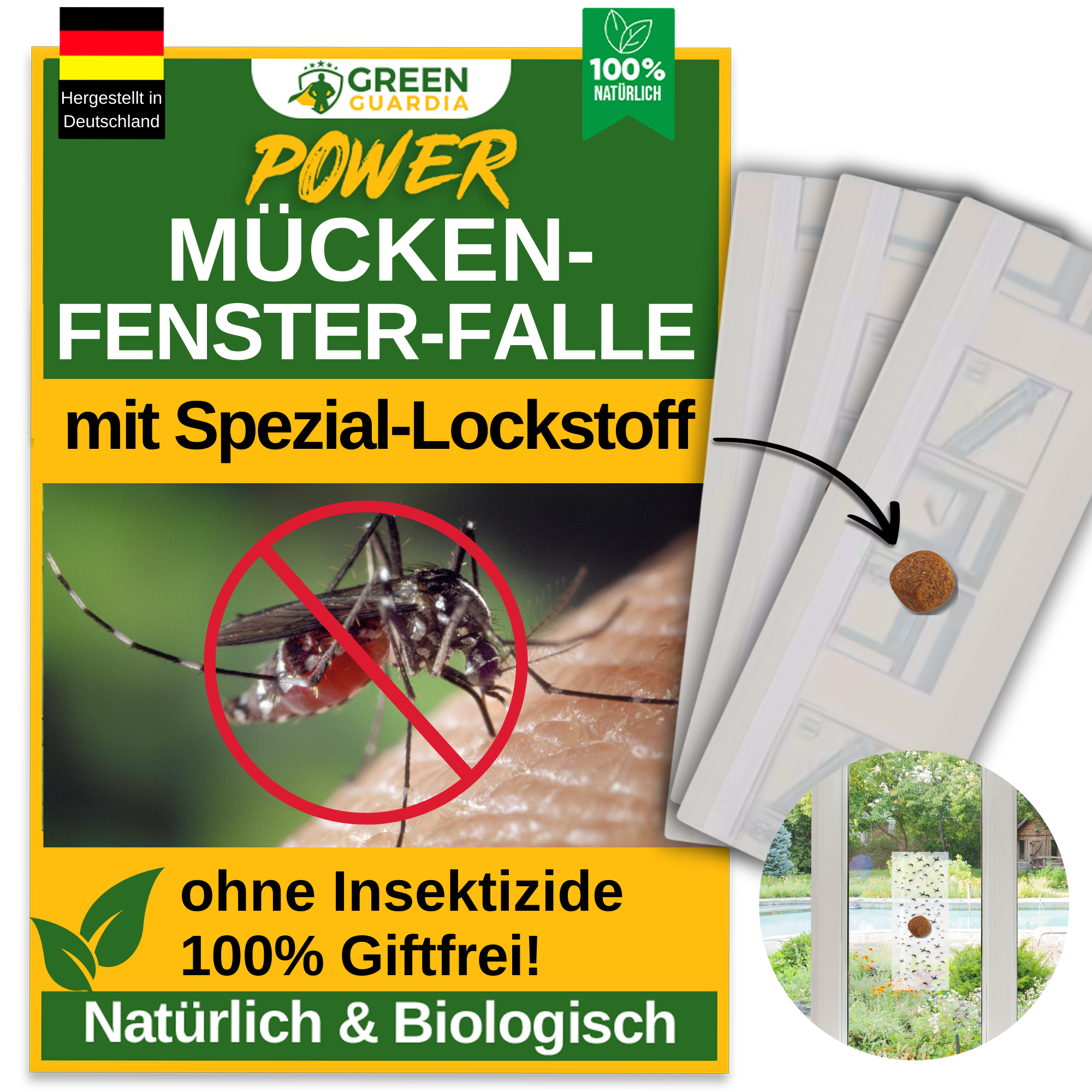 Mosquito window trap with special attractant 