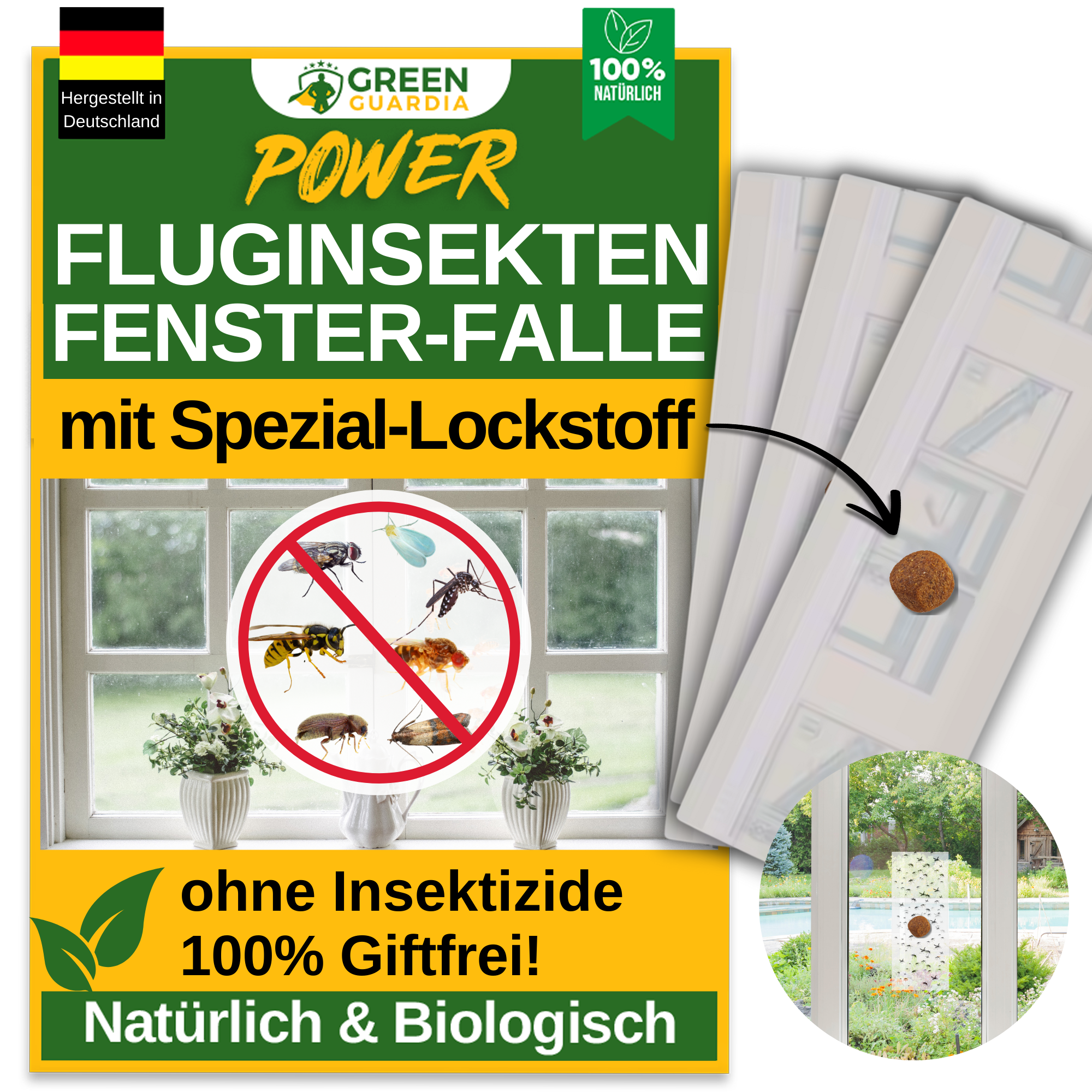 Flying insect window trap with special attractant 