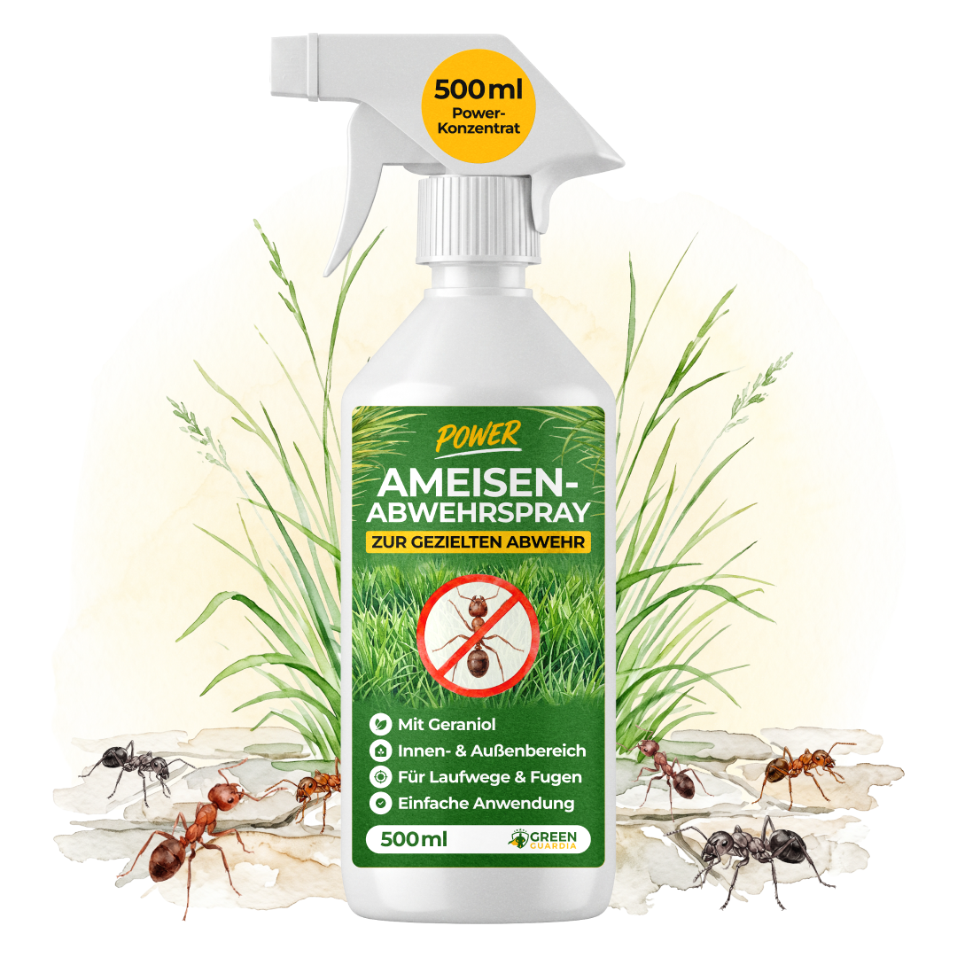 Repelente de hormigas en aerosol concentrado - 500 ml
