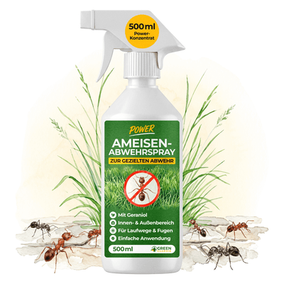 Ameisen Abwehrspray Power-Konzentrat - 500ml - Green Guardia - Ihr Experte für Schädlinge und Pflanzen