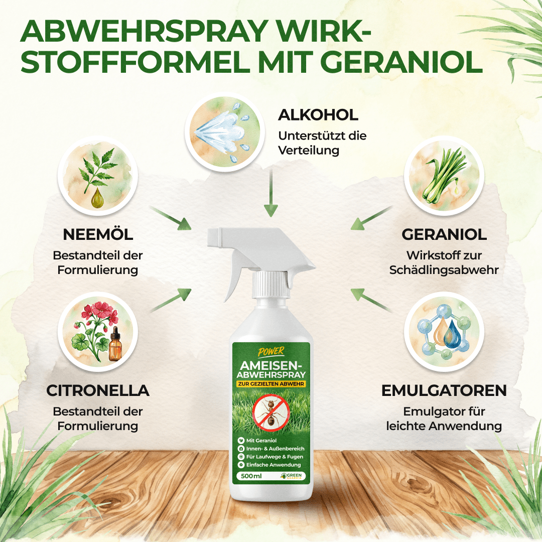 Ameisen Abwehrspray Power-Konzentrat - 500ml - Green Guardia - Ihr Experte für Schädlinge und Pflanzen