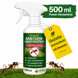 Spray repelente de hormigas concentrado