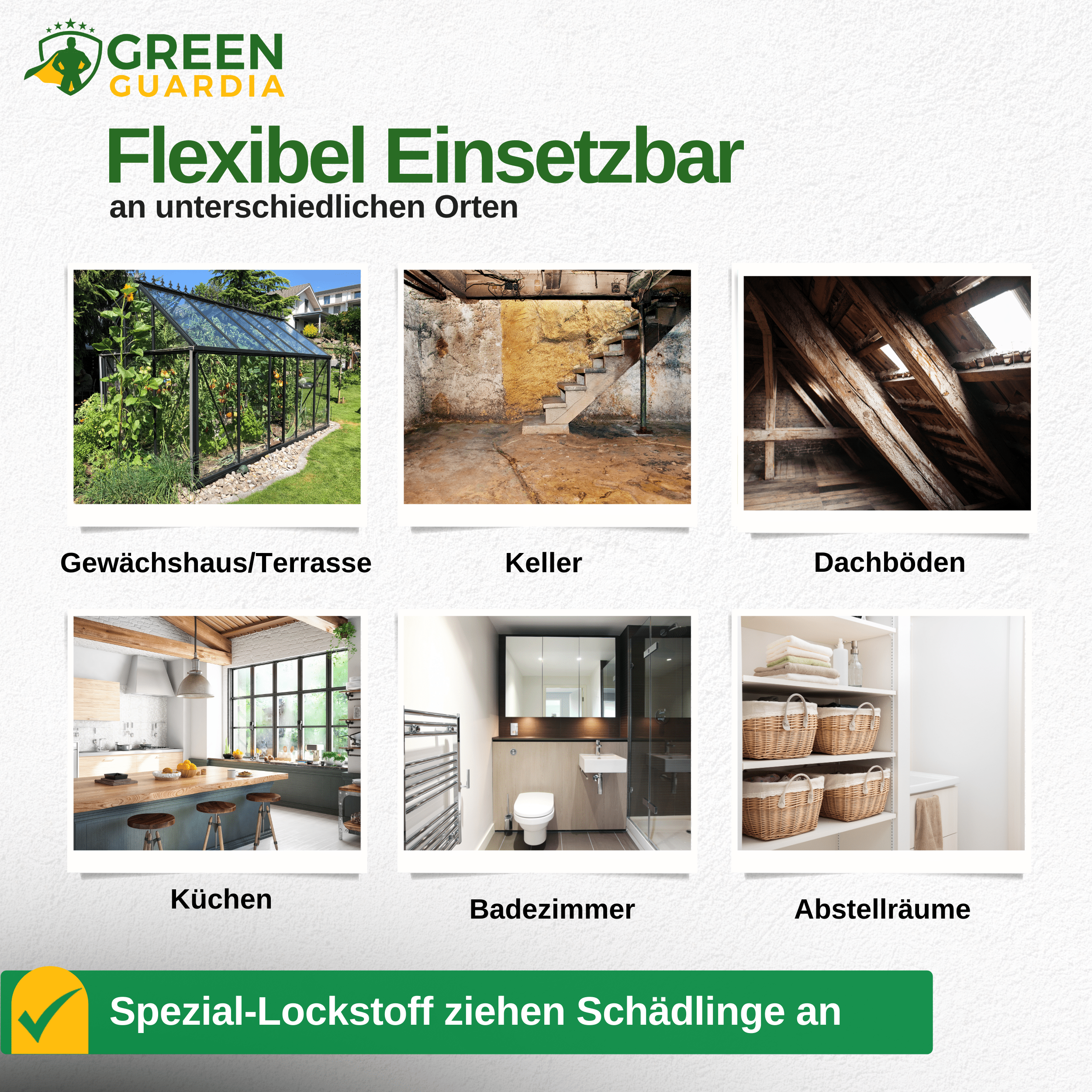 Ameisen Falle mit Pheromon - Lockstoff - Green Guardia - Ihr Experte für Schädlinge und Pflanzen