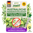 Australische Marienkäfer - Larven gegen Wollläuse, Schmierläuse & Blattläuse