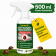Koncentrat w sprayu odstraszającym pluskwy