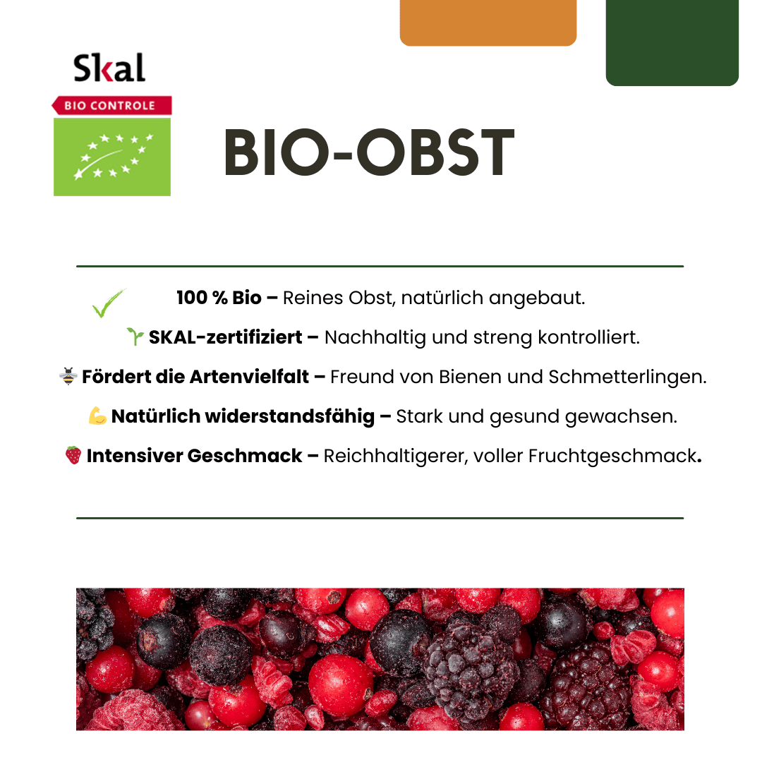 Bio - Stachelbeere – kräftige Jungpflanze im 13 - cm - Topf, 20 cm hoch - Green Guardia - Ihr Experte für Schädlinge und Pflanzen