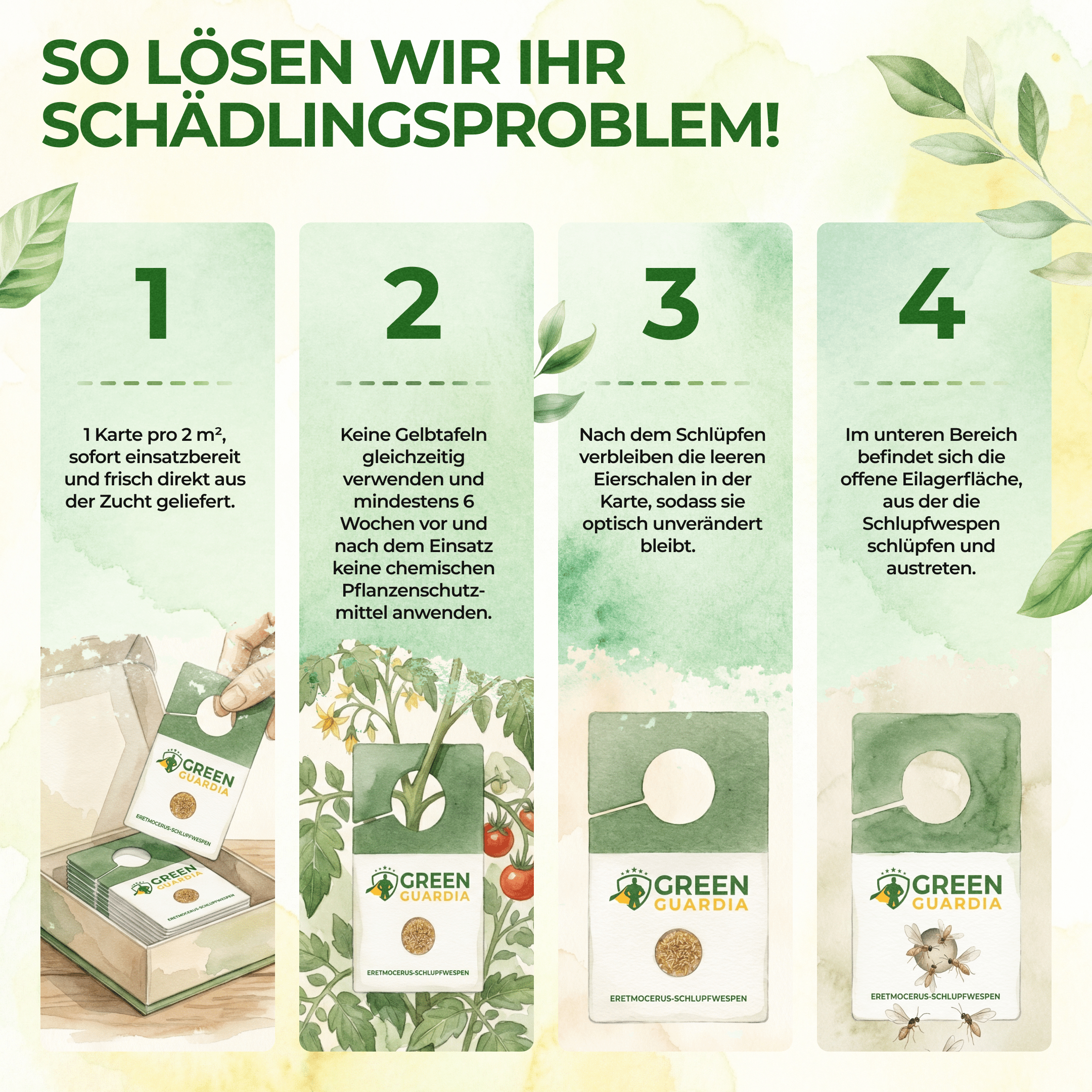 Eretmocerus - Schlupfwespen gegen Weiße - & Tabak Fliegen - Green Guardia - Ihr Experte für Schädlinge und Pflanzen