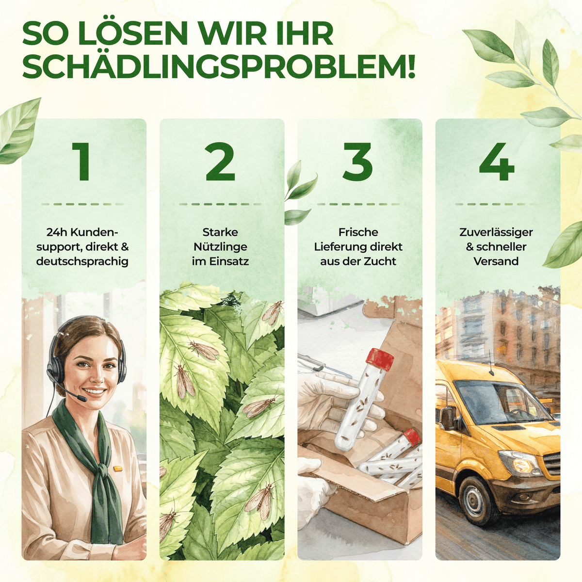 Florfliegeneier gegen Blattläuse, Thripse, Spinnmilben und Co. - Green Guardia - Ihr Experte für Schädlinge und Pflanzen