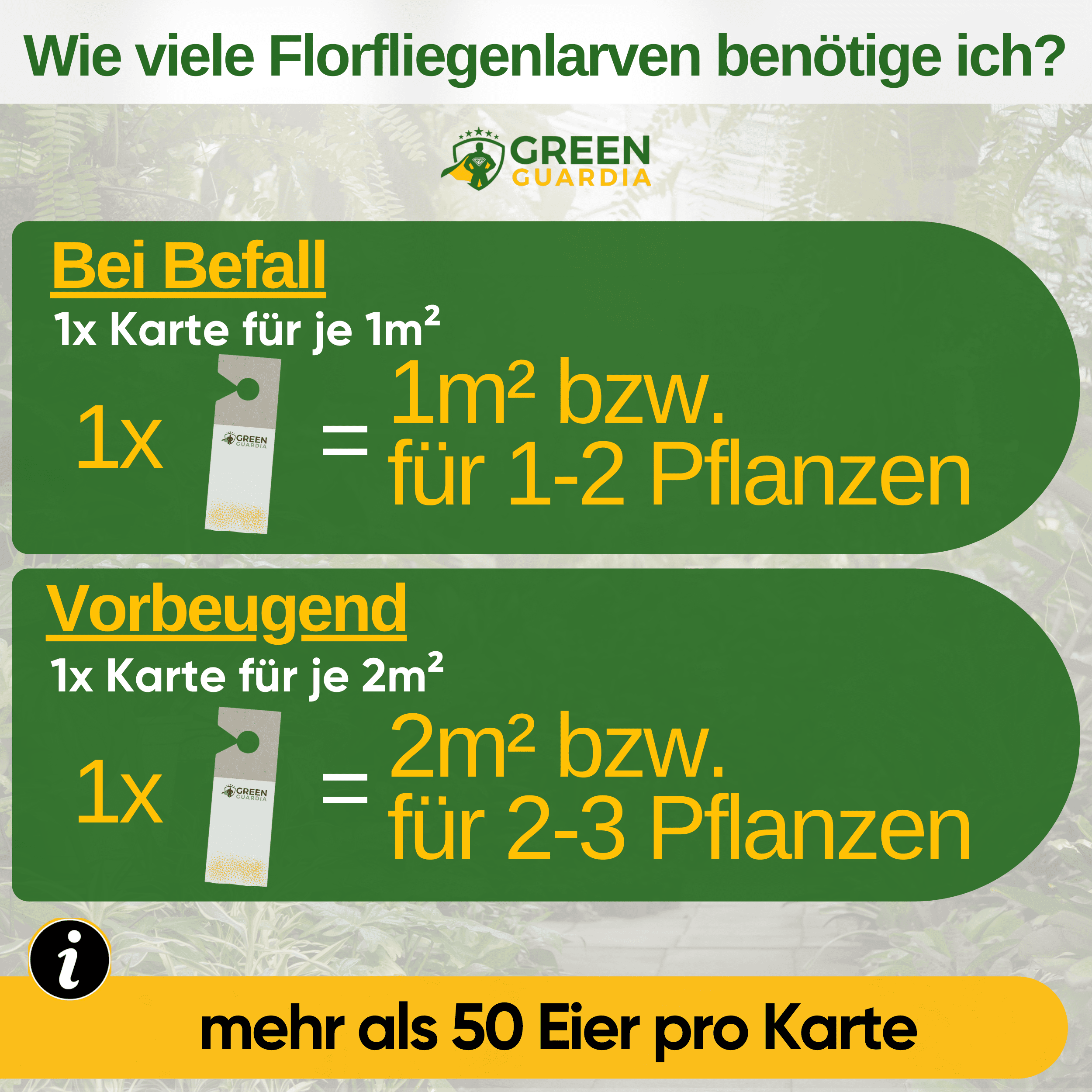 Florfliegenlarven - Eier gegen Blattläuse, Wollläuse zum Aufhängen - Green Guardia - Ihr Experte für Schädlinge und Pflanzen