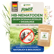 Nematodos HB contra gorgojos y larvas de la vid negra