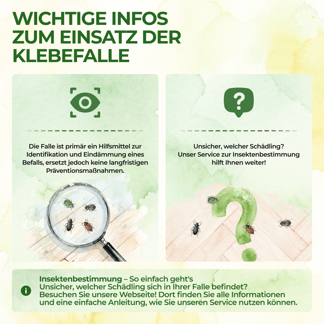 Käfer Falle - Green Guardia - Ihr Experte für Schädlinge und Pflanzen