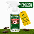 Koncentrat w sprayu odstraszającym karaluchy