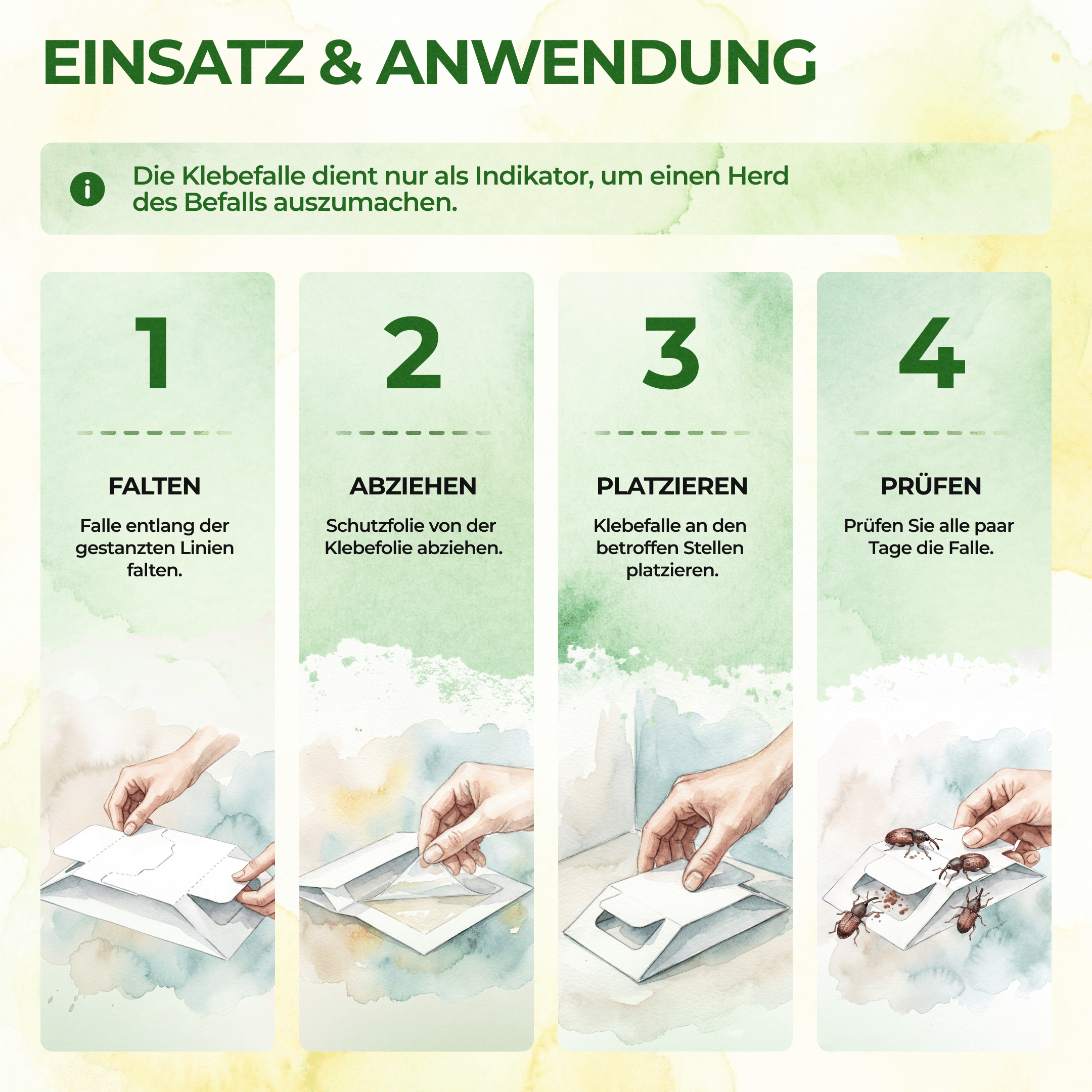 Kornkäfer Falle - Green Guardia - Ihr Experte für Schädlinge und Pflanzen