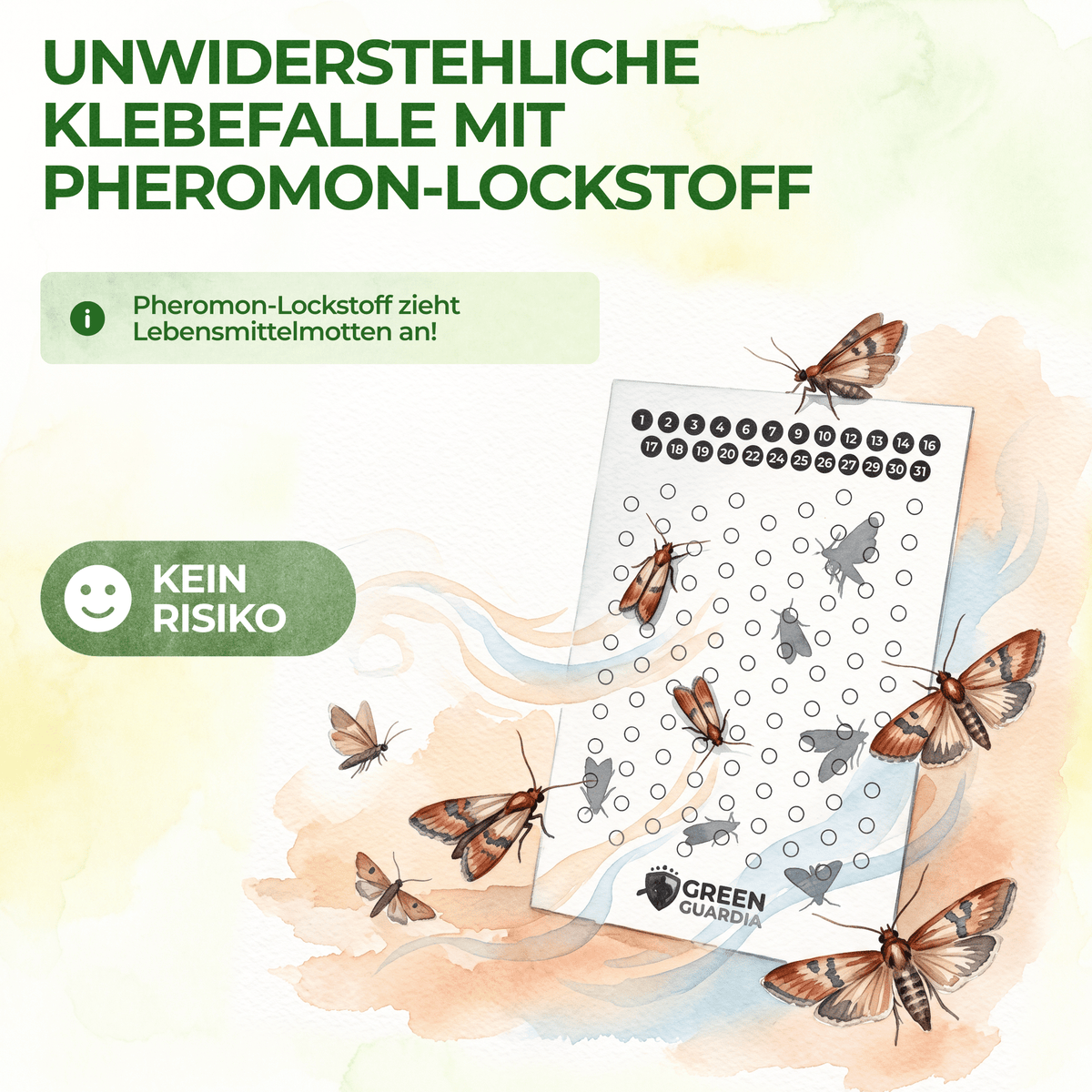Lebensmittelmotten-Fallen mit Pheromonlockstoff - Green Guardia - Ihr Experte für Schädlinge und Pflanzen