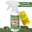 Koncentrat w sprayu odstraszającym myszy i szczury
